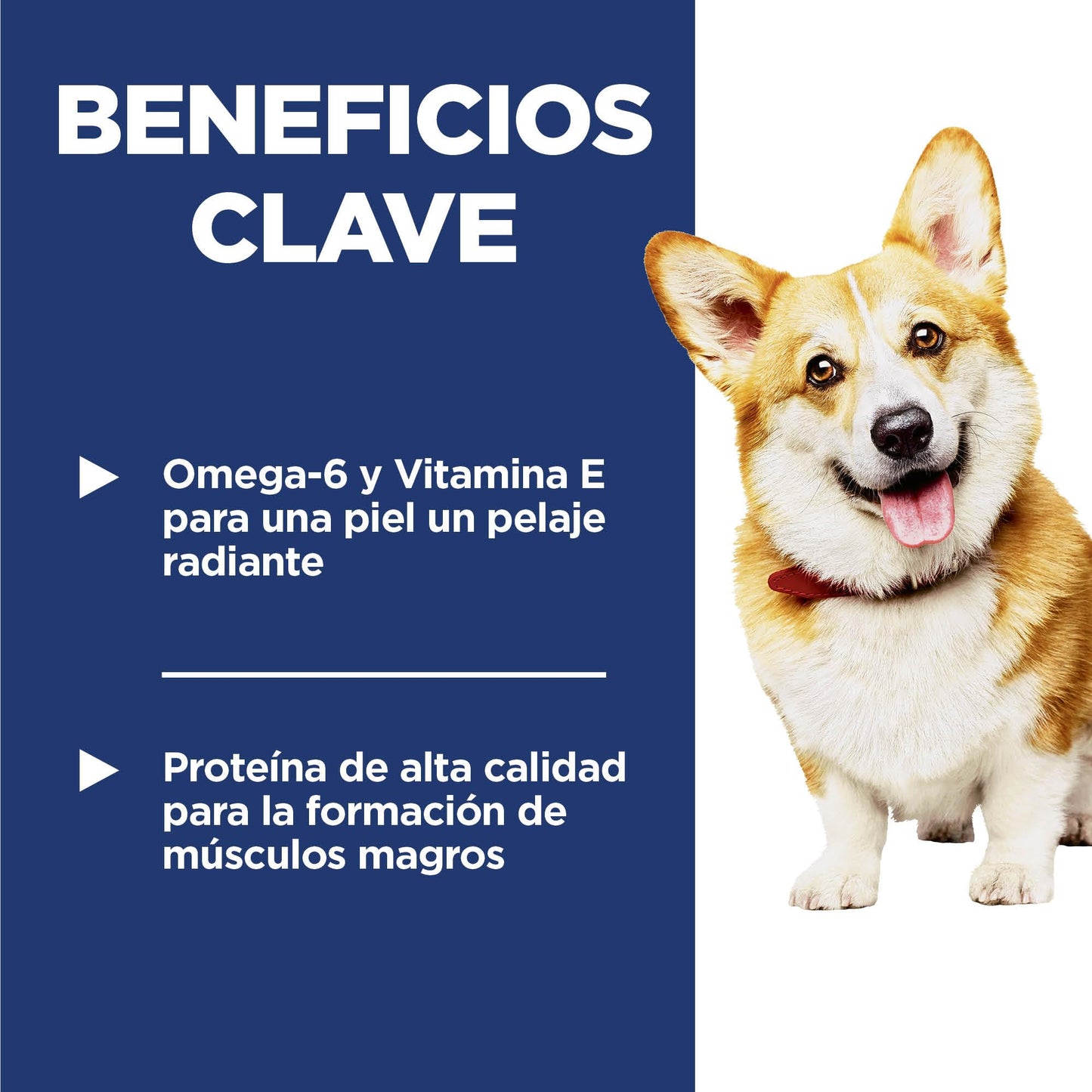 Hill's Science Diet Small Bites, Croquetas para Perro Adulto De Raza Pequeña Bocados Pequeños, Sabor Pollo 6.8Kg
