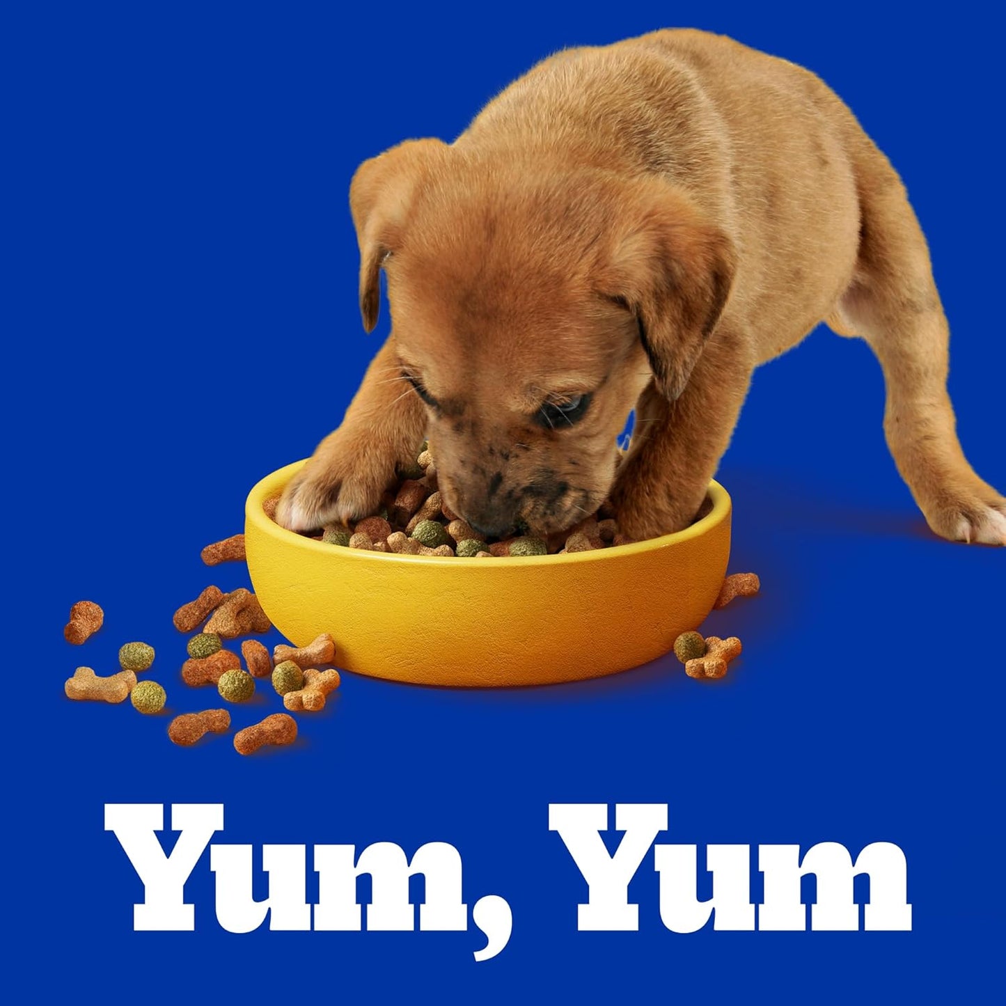 Pedigree - Alimento para Cachorros 20 kg, Etapa 2, con DHA, Prebióticos, Proteínas y Fibra