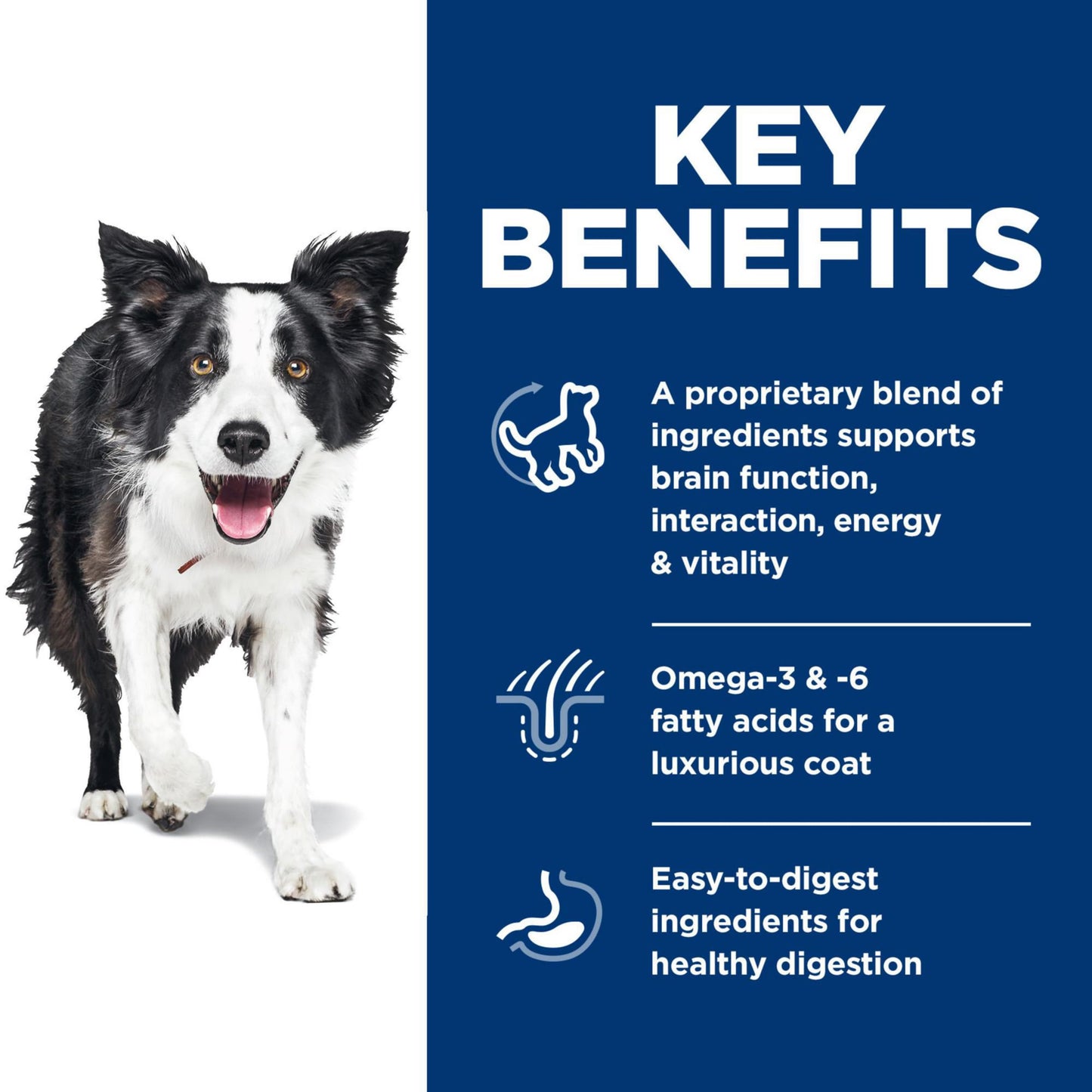 Hill's Science Diet Senior Vitality, Croquetas para Perro Senior 7+ Sabor Pollo Y Arroz 5.7Kg