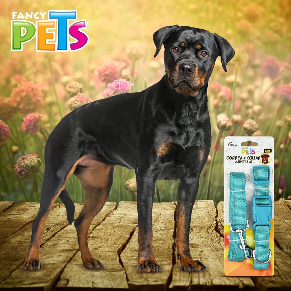 Fancy Pets Correa con Collar de Nylon para Perro con Bandas Reflejantes Tamaño Chico