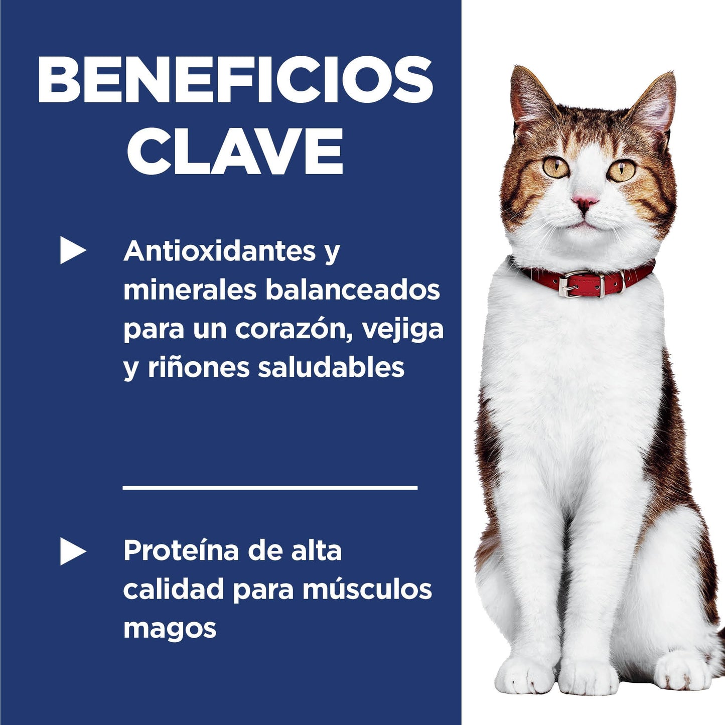 Hill's Science Diet Adult 7+, Croquetas para Gato Senior 7+ Sabor Pollo 7.3Kg