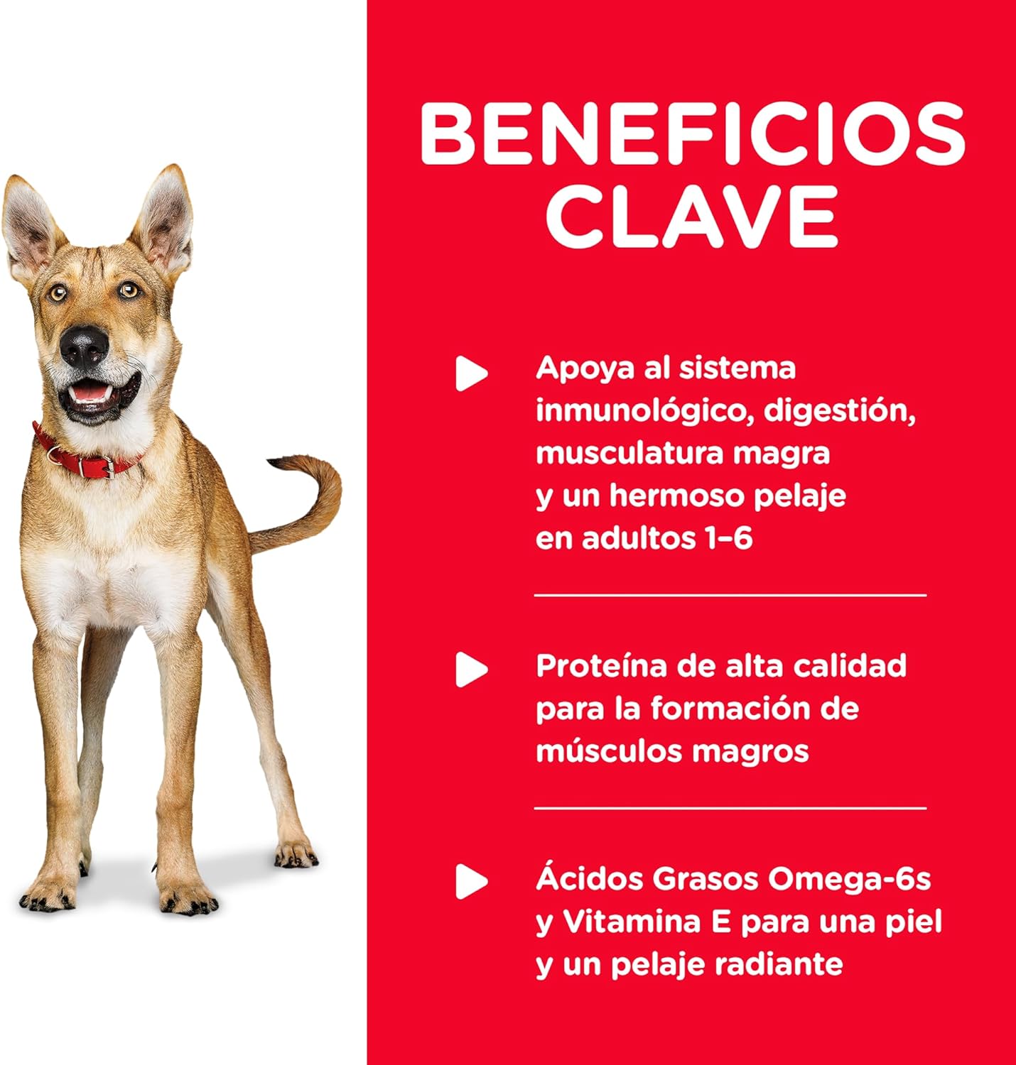 Hill's Science Diet Adult, Alimento Húmedo para Perros, 12 Pack C/U 369 G