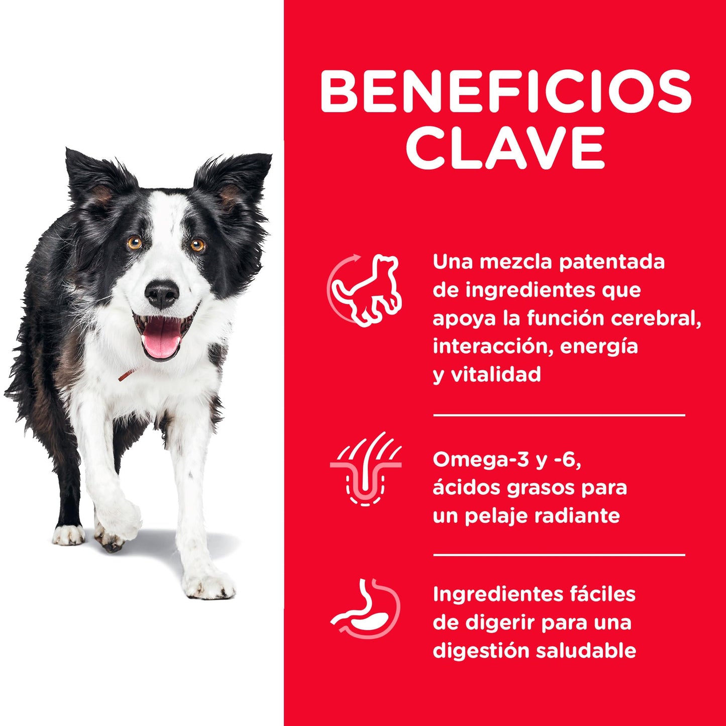 Hill's Science Diet Senior Vitality, Croquetas para Perro Senior 7+ Sabor Pollo Y Arroz 5.7Kg