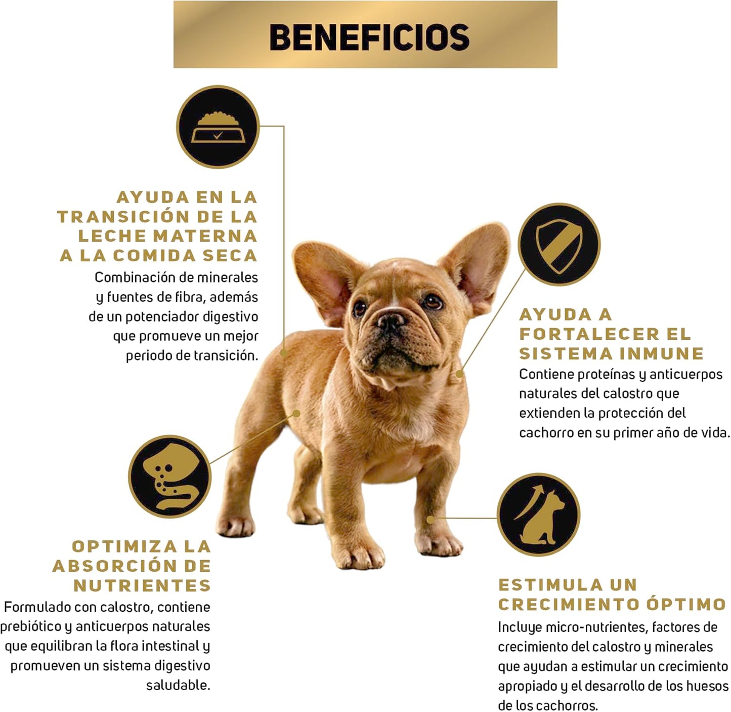 Purina Pro Plan Puppy Raza Pequeña Sabor Pollo 9.5Kg