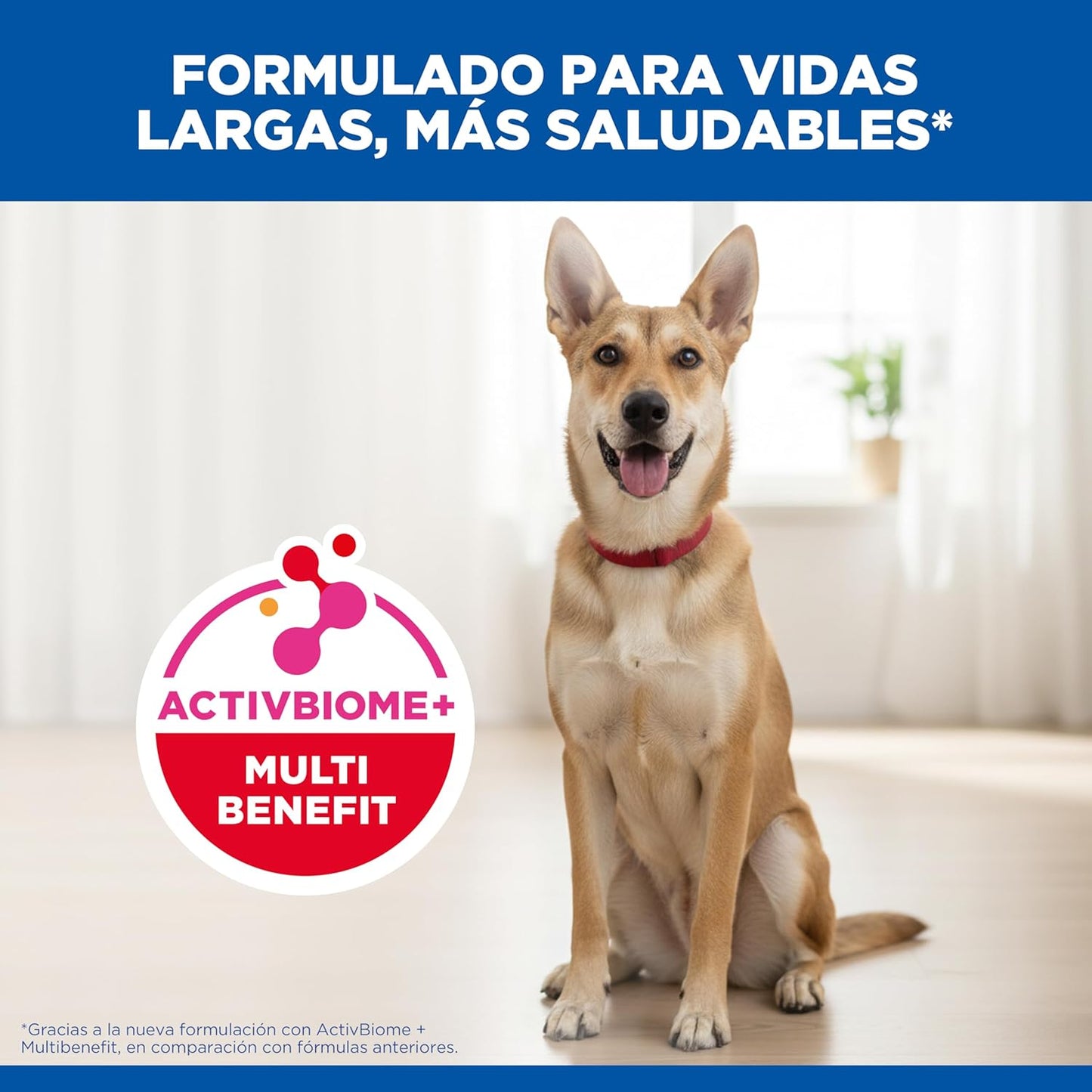 Hill's Science Diet, Croquetas para Perro Adulto Sabor Pollo 3 kg, Ayuda a Construir Las Bases para la Salud a Largo Plazo, Piel y Pelaje Sanos