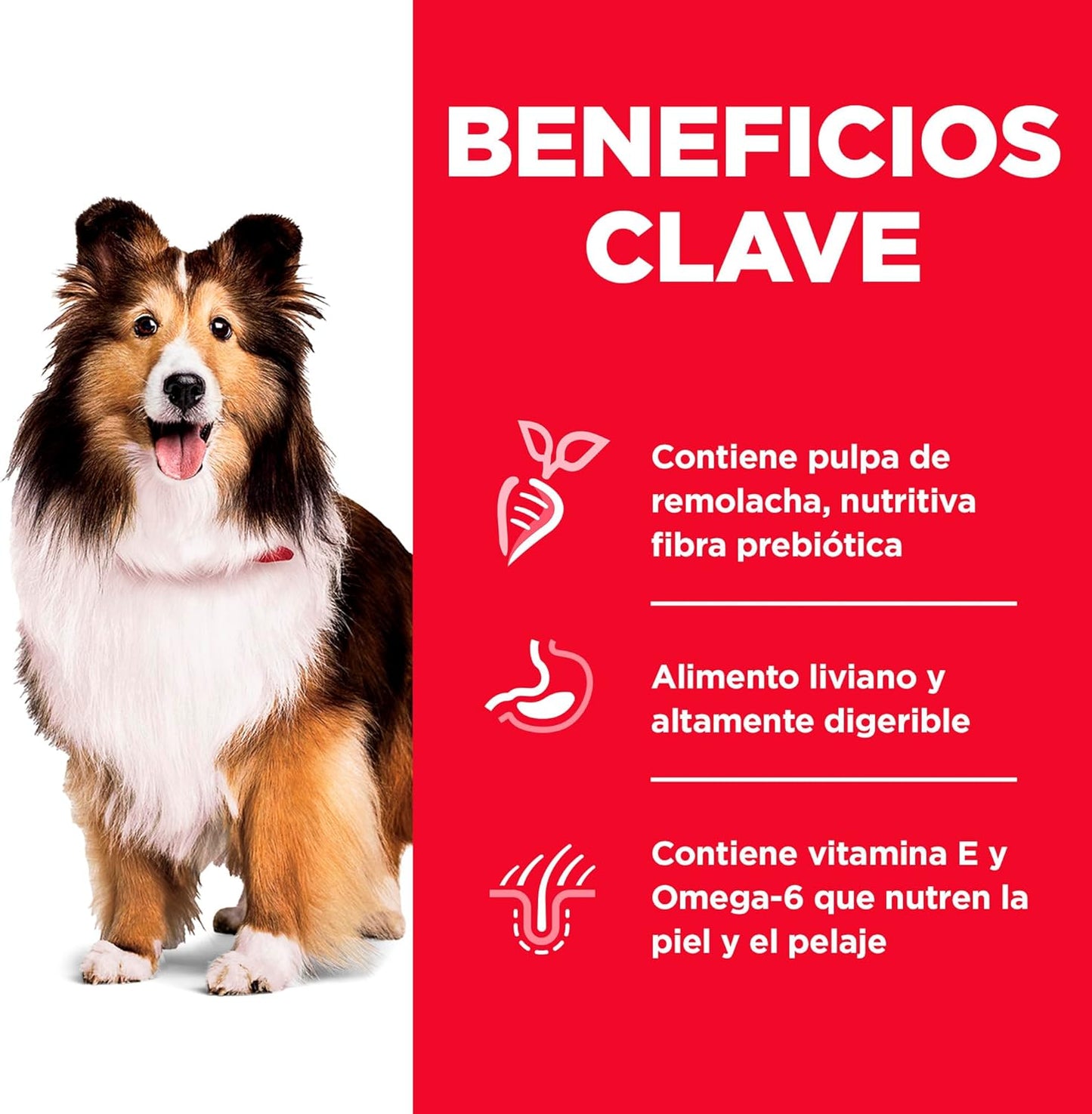Hill's Science Diet Sensitive Skin & Stomach, Croquetas para Perro Adulto para Piel Y Estomago Sensible Sabor Pollo 1.8Kg