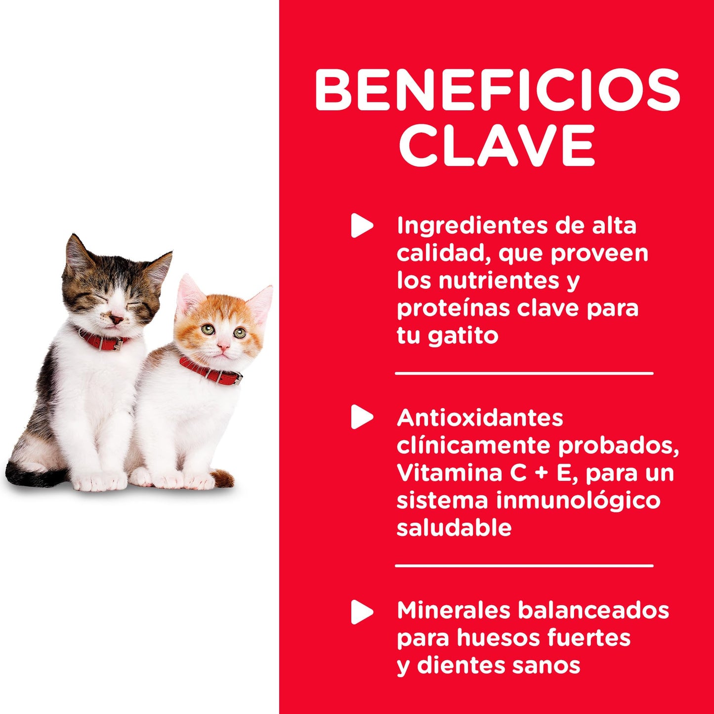 Hill's Science Diet Kitten Healthy Cuisine, alimento en lata para gatitos, pollo y arroz, 79 gramos, paquete con 24 latas