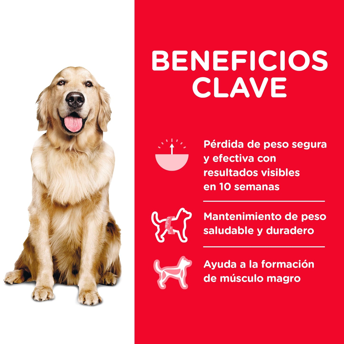 Hill's Science Diet Perfect Weight, Croquetas para Perro Adulto para Control De Peso, Sabor Pollo 1.8Kg