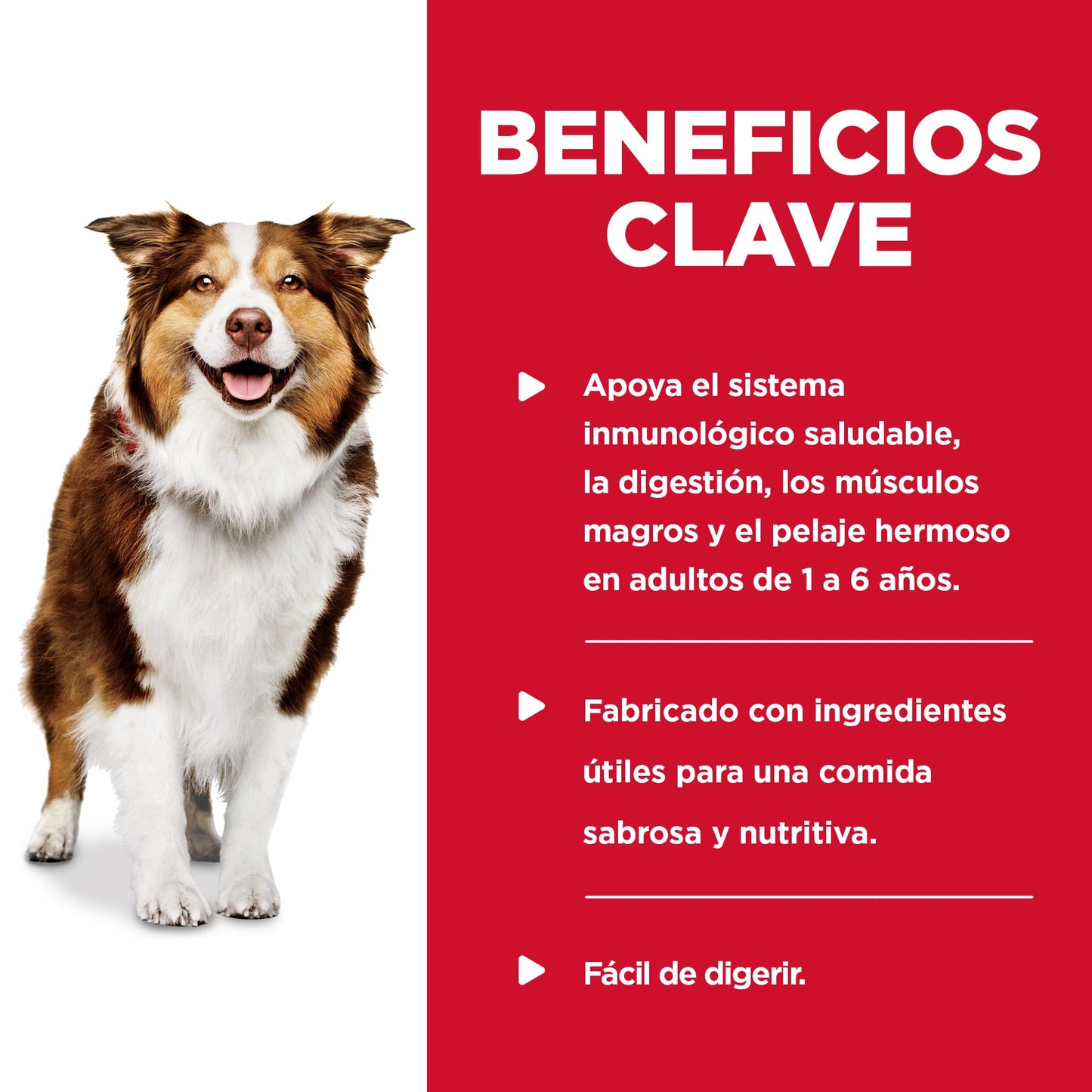 Hill's Science Diet, Croquetas para Perro Adulto Sabor Cordero 15Kg