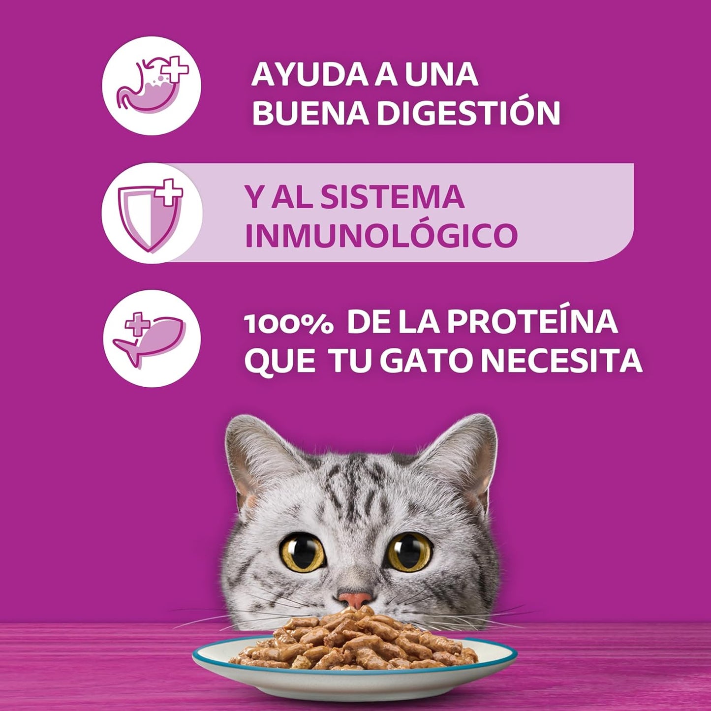 Whiskas Alimento Húmedo para Gatos, sabor Filetes De Atún 85g c/u. Paquete de 24 unidades