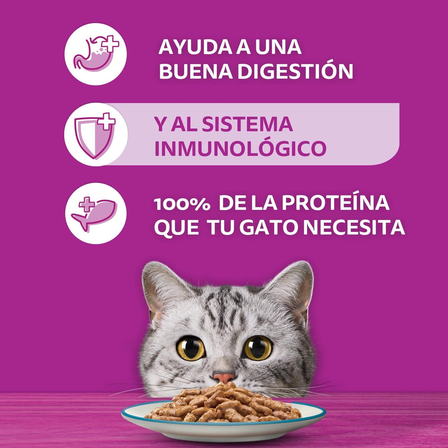 Whiskas - Alimento Húmedo para Gatos, Sabor Parrillada Mixta, con Ingredientes Naturales, Calcio, Minerales, Vitamina A y Taurina, 24 Sobres, 85g c/u.