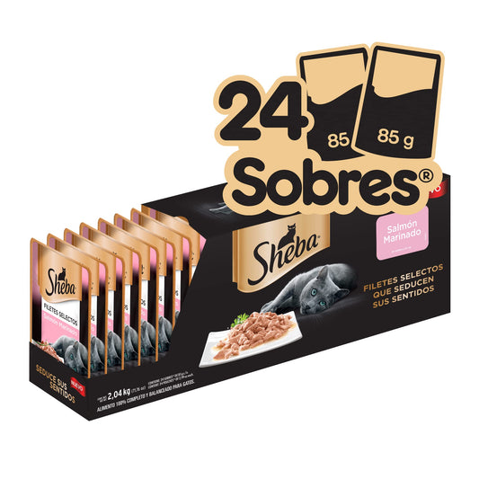 Sheba - Alimento Húmedo para Gato Adulto, Sabor Filetes De Salmón Marinado 85g c/u. Paquete de 24 Unidades, Sin Colorantes ni Sabores Artificiales