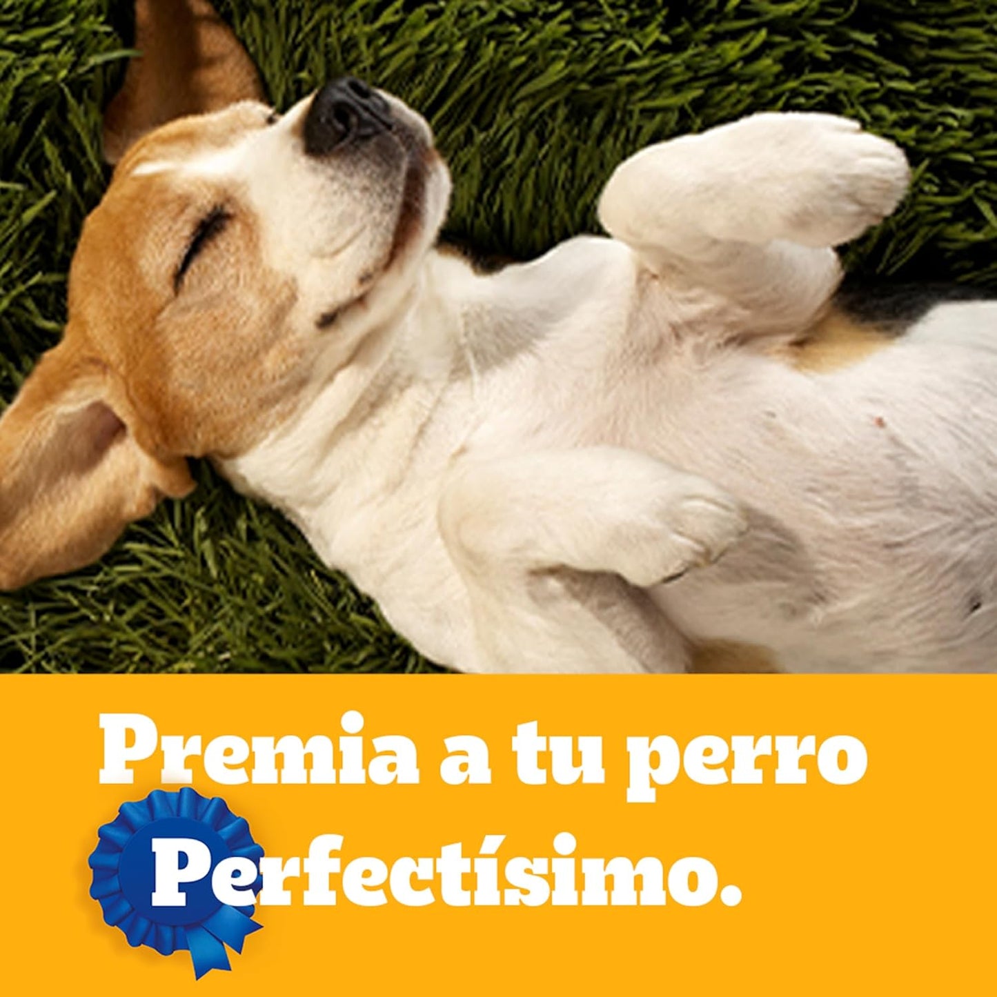 Pedigree - Snack para Perros Adultos Biscrock, Omega 3, Adicionado con Calcio, Sin Colorantes, Ideal para Entrenamiento, 225g