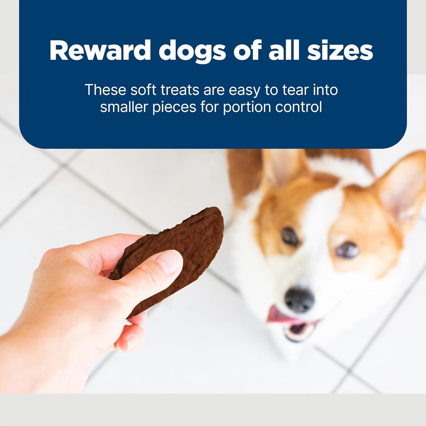 Blue Buffalo Nudges Jerky Cuts Natural Dog Treats