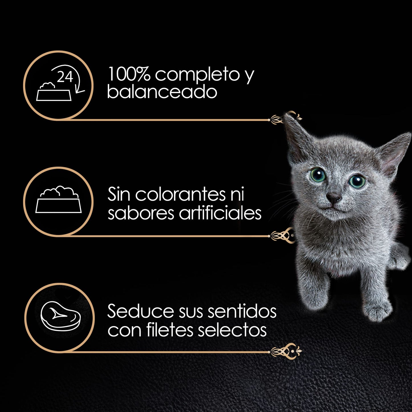Sheba - Alimento Húmedo para Gatitos, Sabor de Filetes De Atún Marinado, Paquete de 24 Unidades de 85g c/u., Sin Colorantes ni Sabores Artificiales