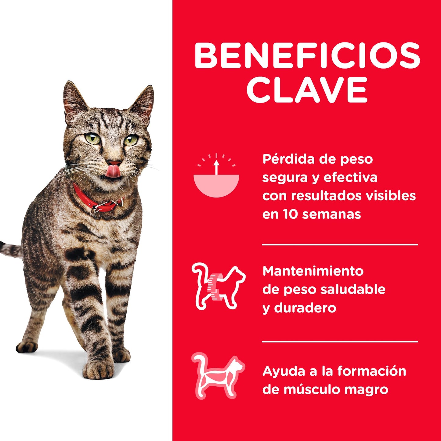 Hill's Science Diet Perfect Weight, Croquetas para Gato Adulto para Control De Peso, Sabor Pollo 1.4Kg