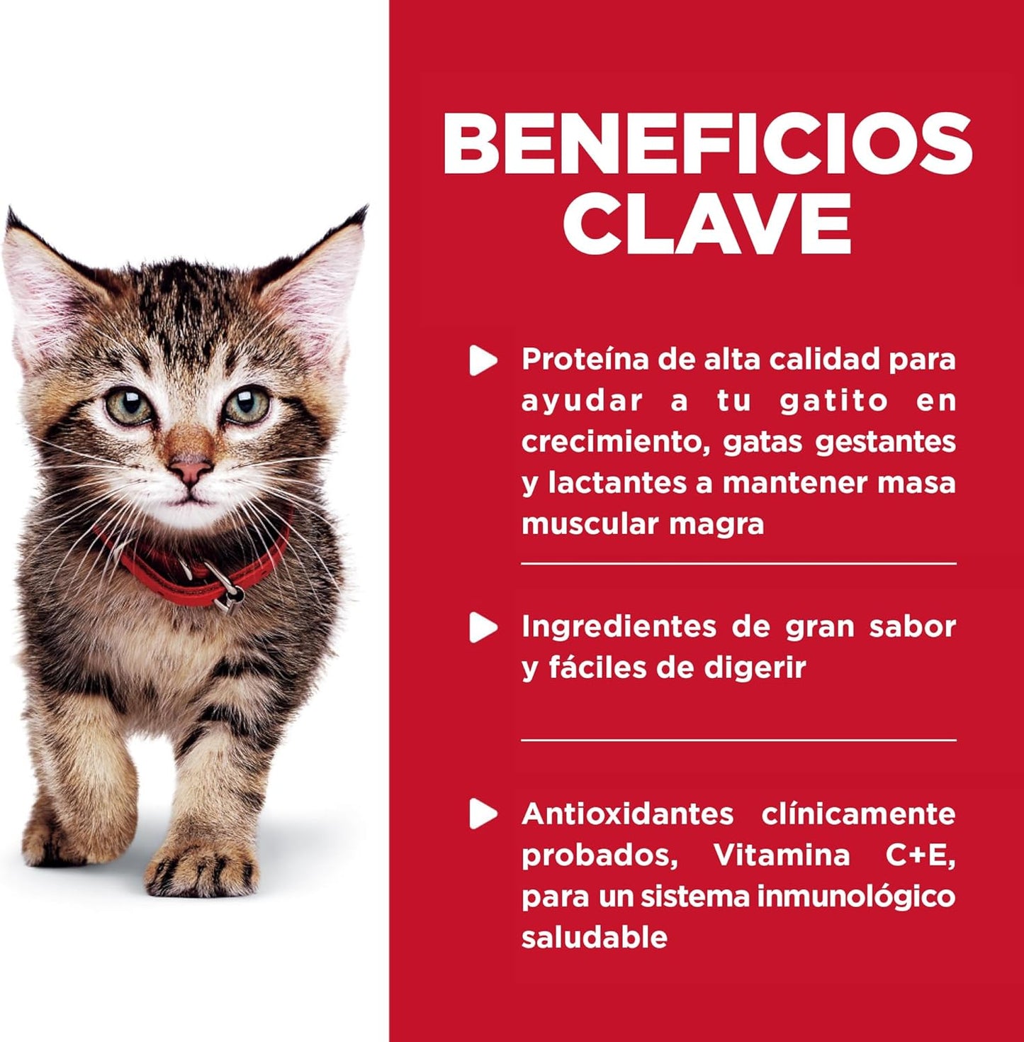 Hill's Science Diet Kitten, Alimento Húmedo En Pouch para Gatitos, Platillo De Pollo, 24 Pack C/U 79 G