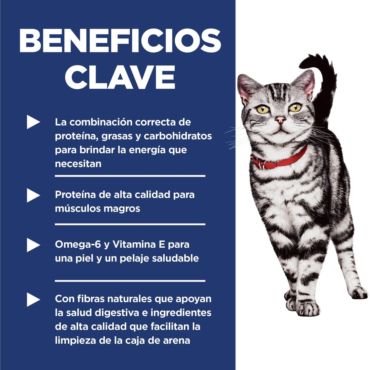Hill's Science Diet Indoor, Croquetas para Gato Adulto De Interiores Sabor Pollo 3.2Kg