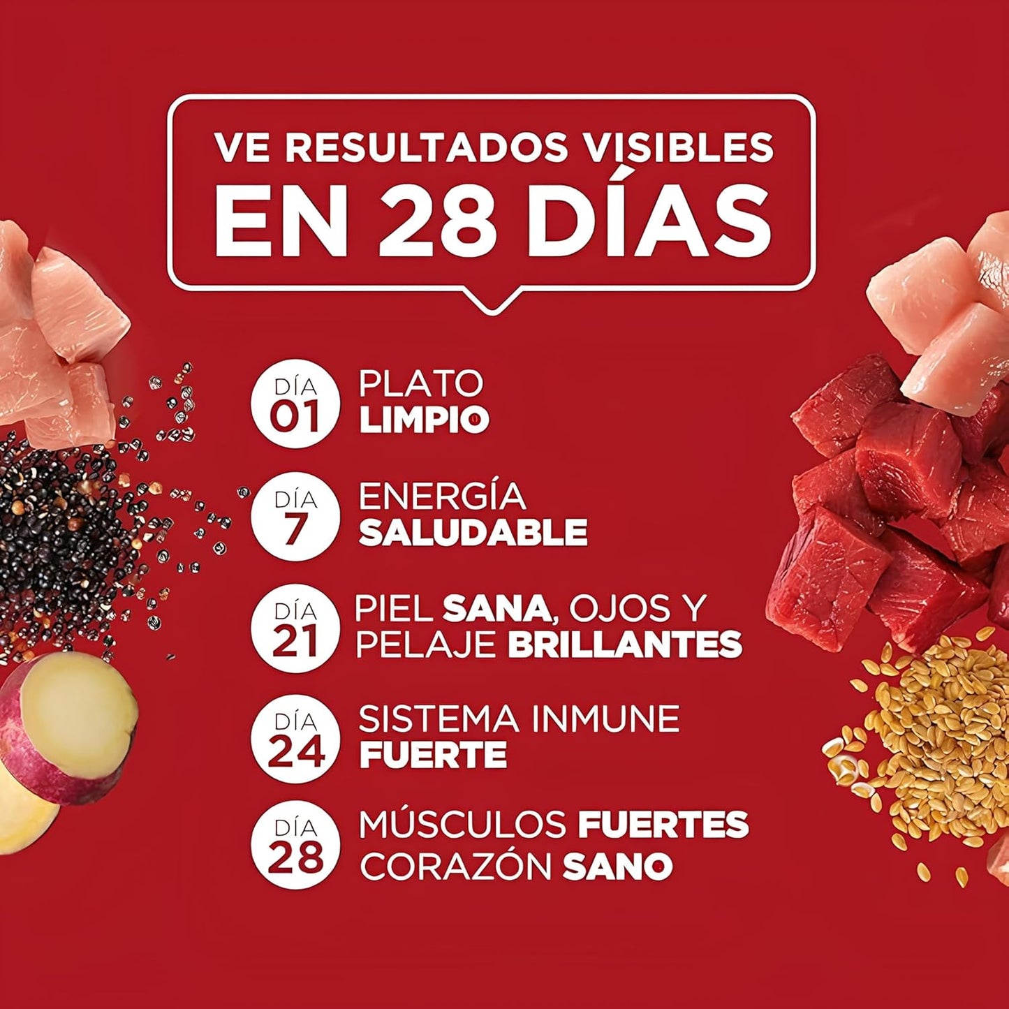 Purina One Adulto y Cachorro Todos los Tamaños Super Alimento Sabor Salmón 24pack de 85g