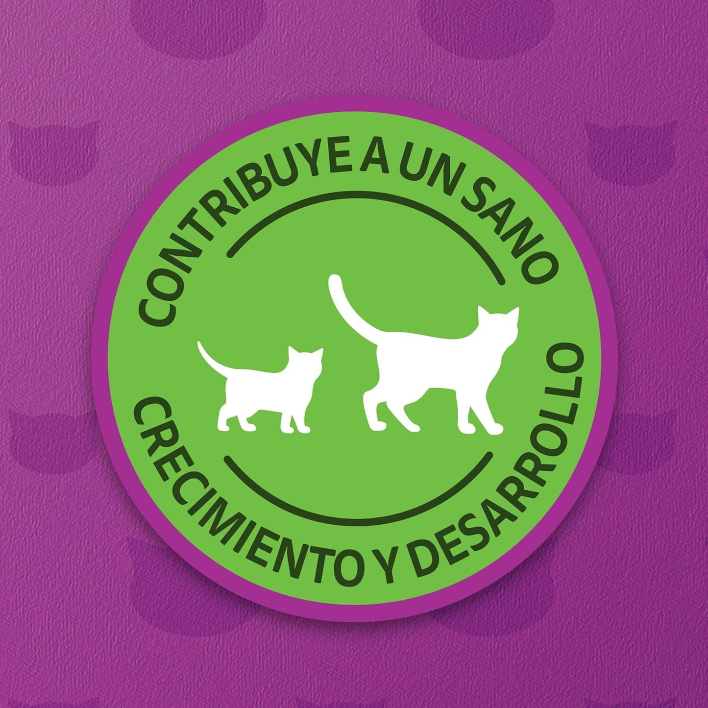 WHISKAS - Alimento Húmedo para Gatitos, Sabor a Soufflé de Salmón, 24 Sobres para Gato, 85 gr., c/u