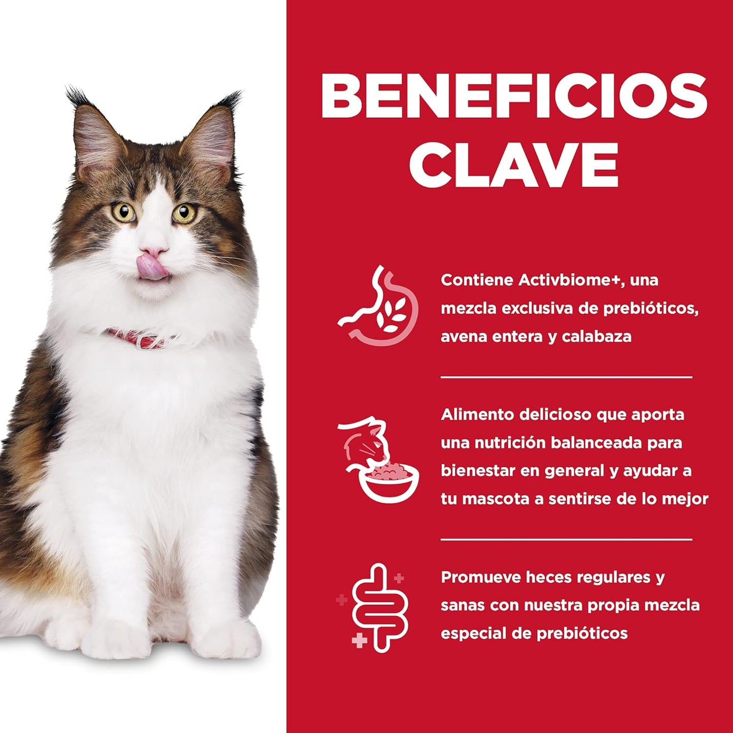 Hill's Science Diet Perfect Digestion, Croquetas para Gato Adulto Cuidado Digestivo Sabor Pollo 1.5Kg