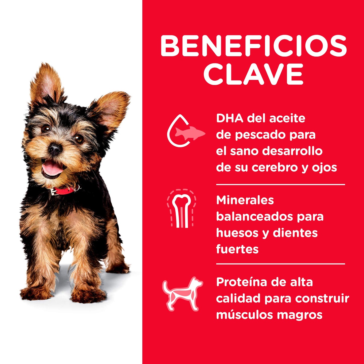 Hill's Science Diet Small & Mini Puppy, Croquetas para Perro Cachorro De Raza Pequeña Y Mini, Sabor Pollo 2Kg