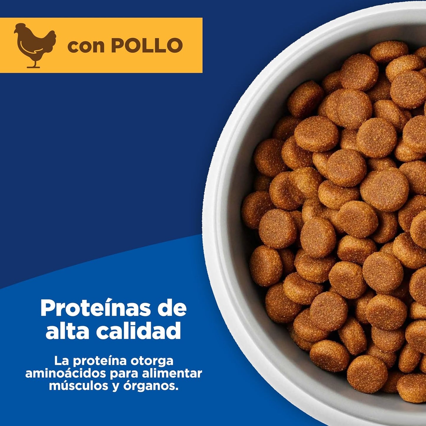 Hill's Science Diet, Croquetas para Perro Adulto Sabor Pollo 15 kg, Ayuda a Construir Las Bases para la Salud a Largo Plazo, Piel y Pelaje Sanos