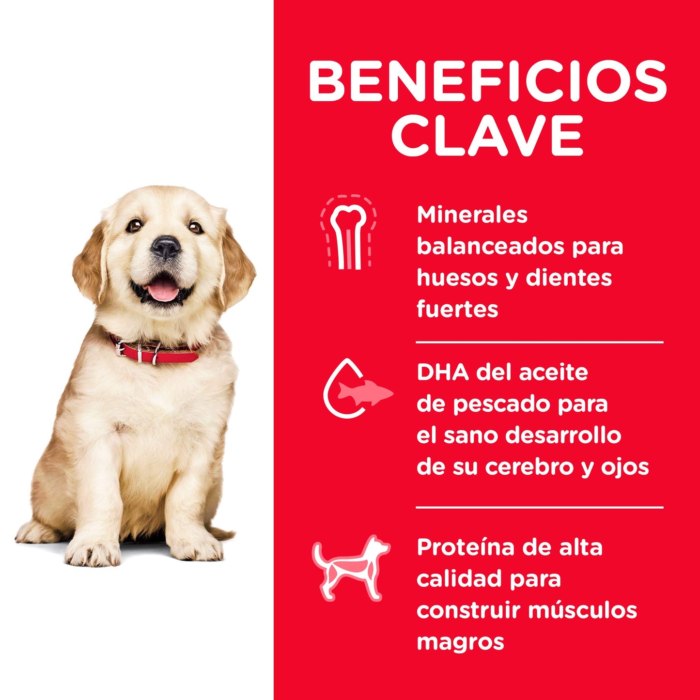 Hill's Science Diet, Alimento para Perro Puppy (Cachorro) Raza Grande, Seco (bulto) 7kg