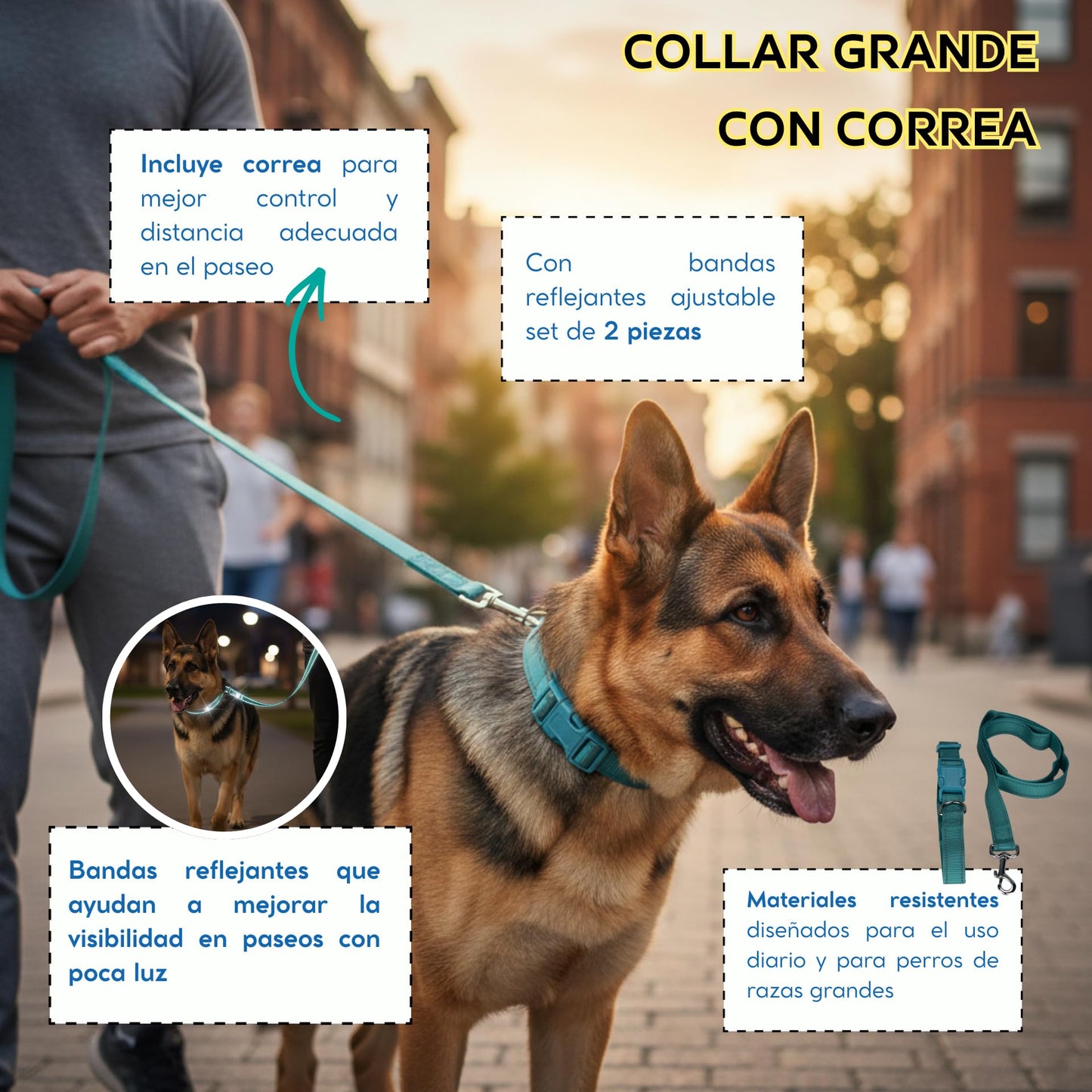 Fancy Pets Correa con Collar de Nylon para Perro con Bandas Reflejantes Tamaño Chico