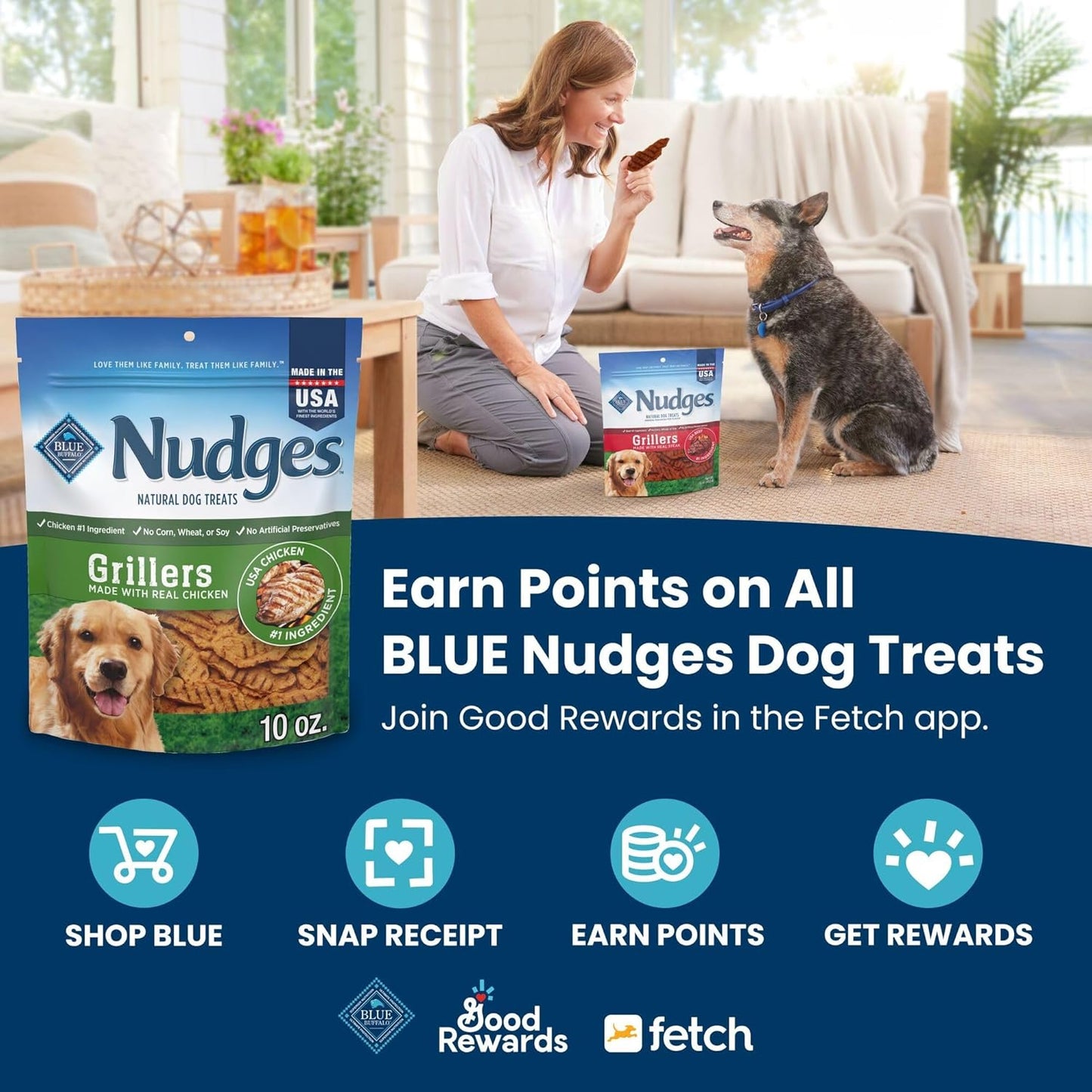 Blue Buffalo Nudges Grillers Natural Dog Treats, Steak, 36oz Bag