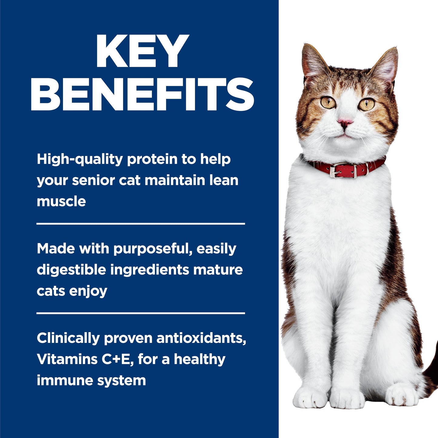 Hill's Science Diet Adult 7+, Croquetas para Gato Senior 7+ Sabor Pollo 7.3Kg