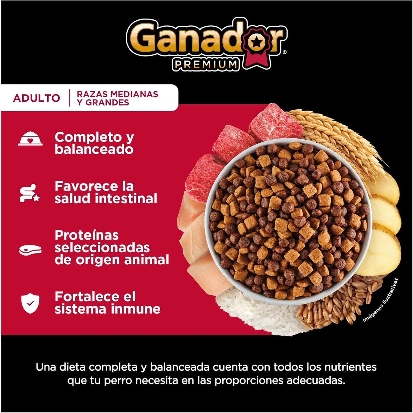 Alimento seco para Perro Ganador Premium 15kg