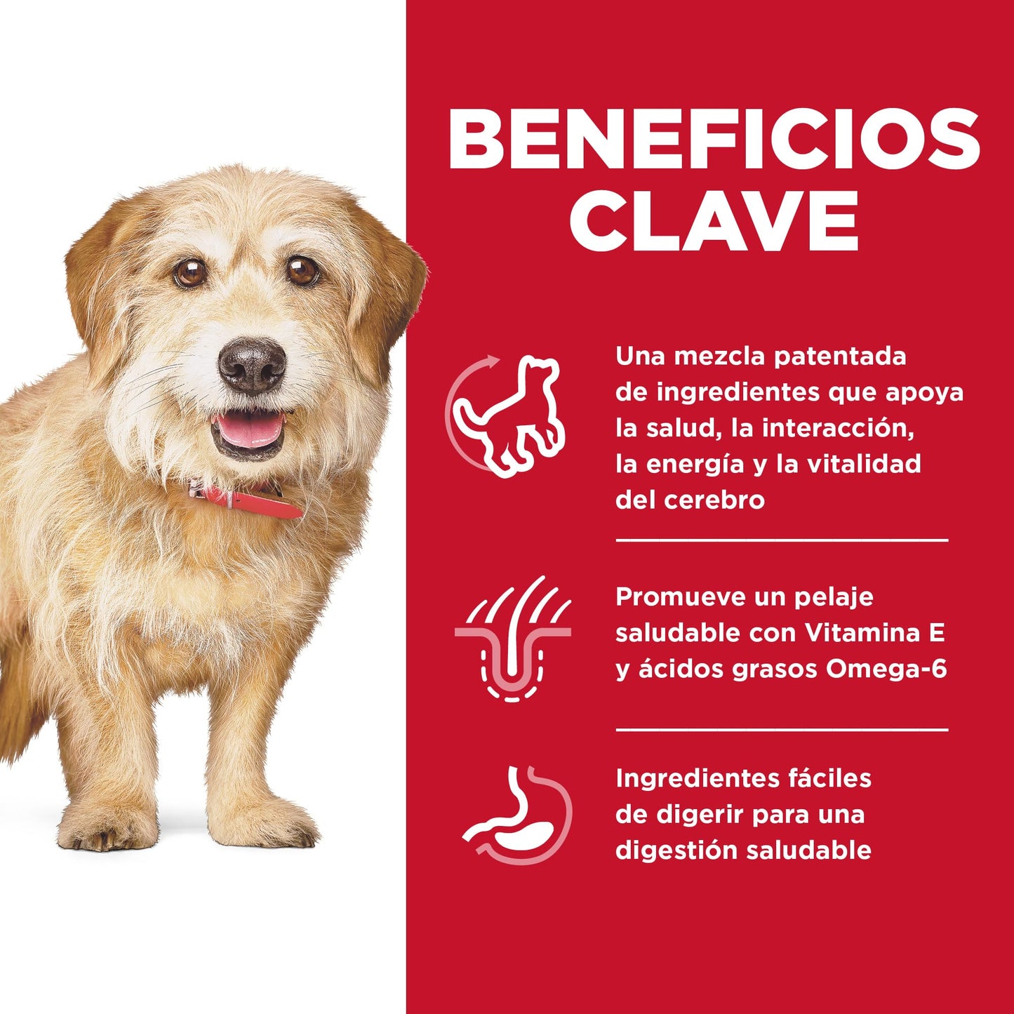 Hill's Science Diet Small & Mini Senior Vitality, Croquetas para Perro Senior Raza Pequeña Y Mini, Sabor Pollo Y Arroz 5.7Kg