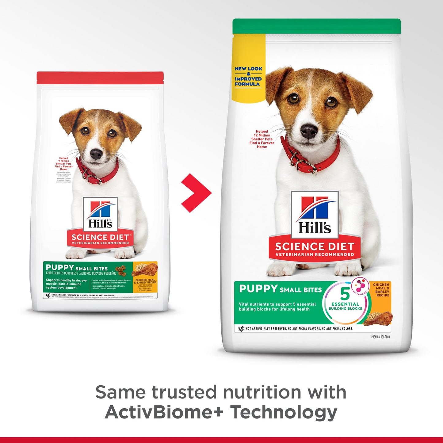 Hill's Science Diet Small Bites Puppy, Croquetas para Perro Cachorro Raza Pequeña Sabor Pollo 2Kg