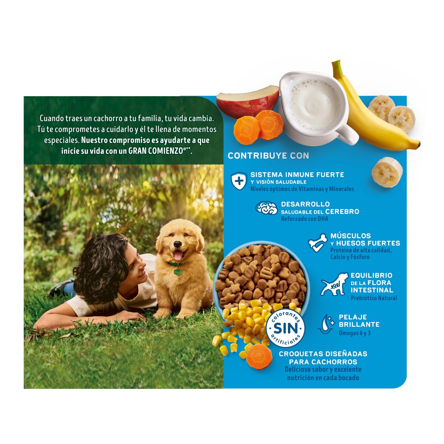 Purina Dog Chow Cachorro Raza Mediana y Grande Sabor Carne, Pollo y Frutas 7.5Kg