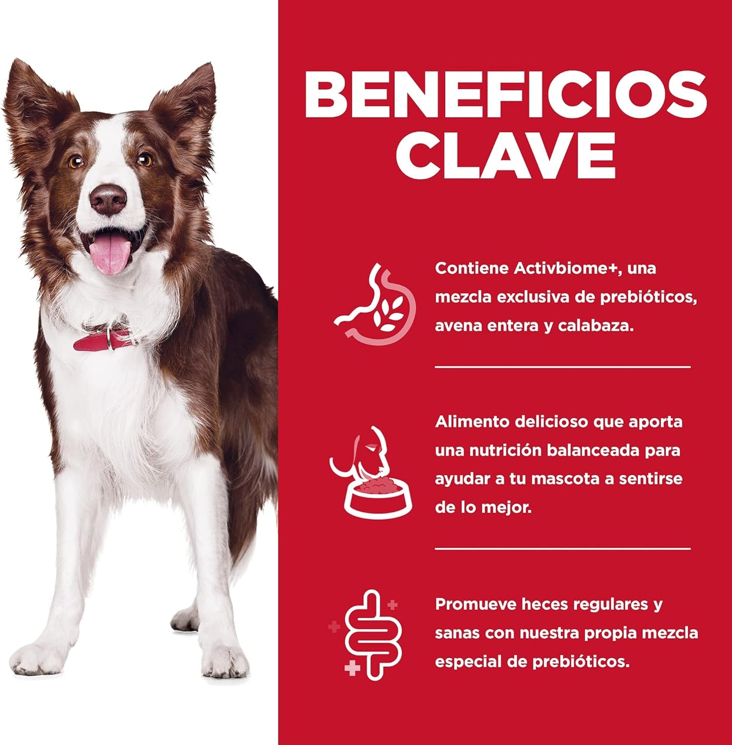 Hill's Science Diet Perfect Digestion, Croquetas para Perro Adulto, Cuidado Digesitvo Sabor Pollo 10Kg