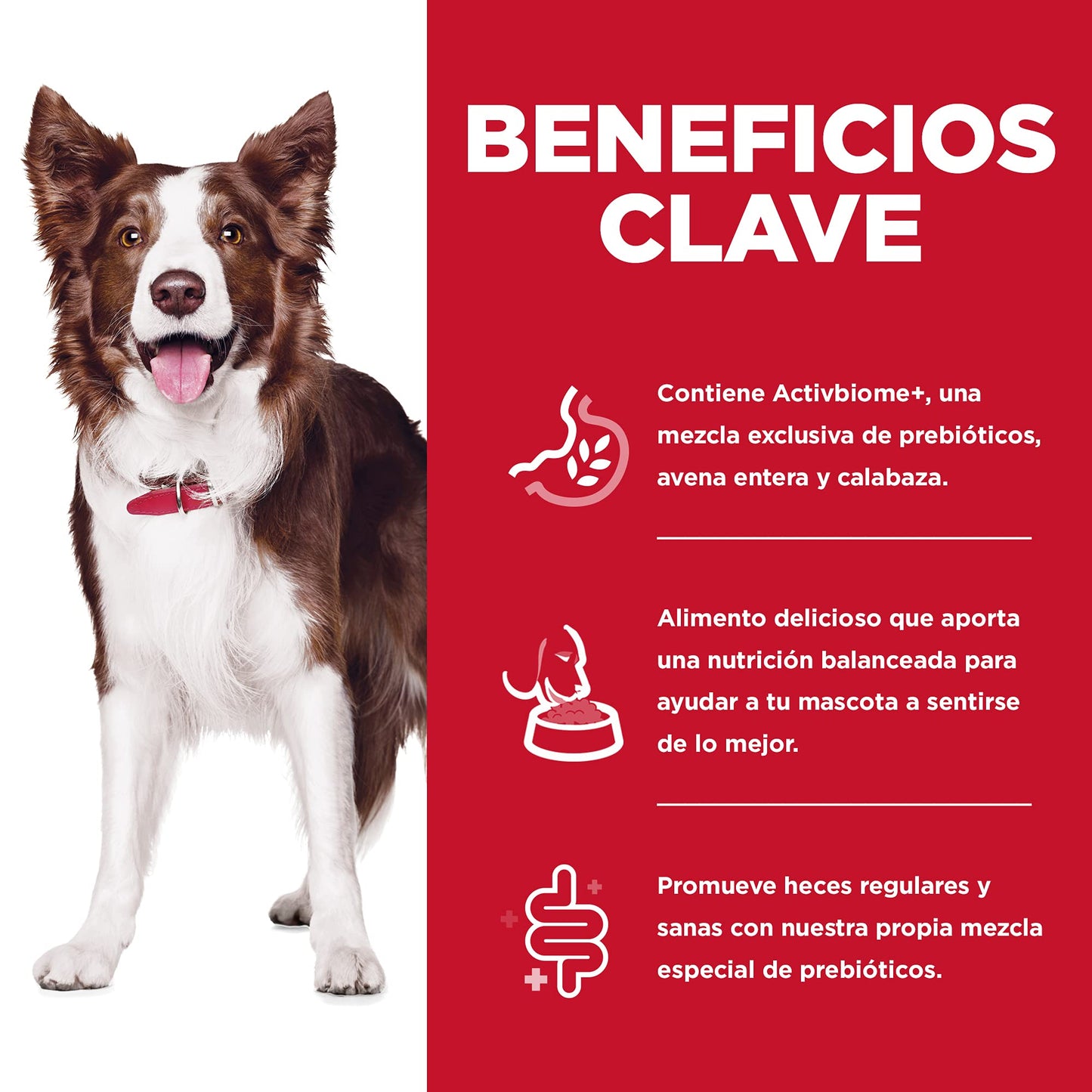 Hill's Science Diet Perfect Digestion, Croquetas para Perro Adulto, Cuidado Digesitvo Sabor Pollo 1.6Kg