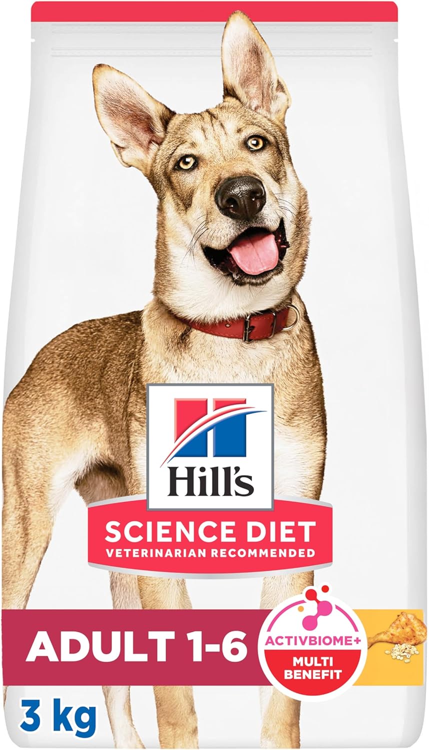 Hill's Science Diet, Croquetas para Perro Adulto Sabor Pollo 3 kg, Ayuda a Construir Las Bases para la Salud a Largo Plazo, Piel y Pelaje Sanos