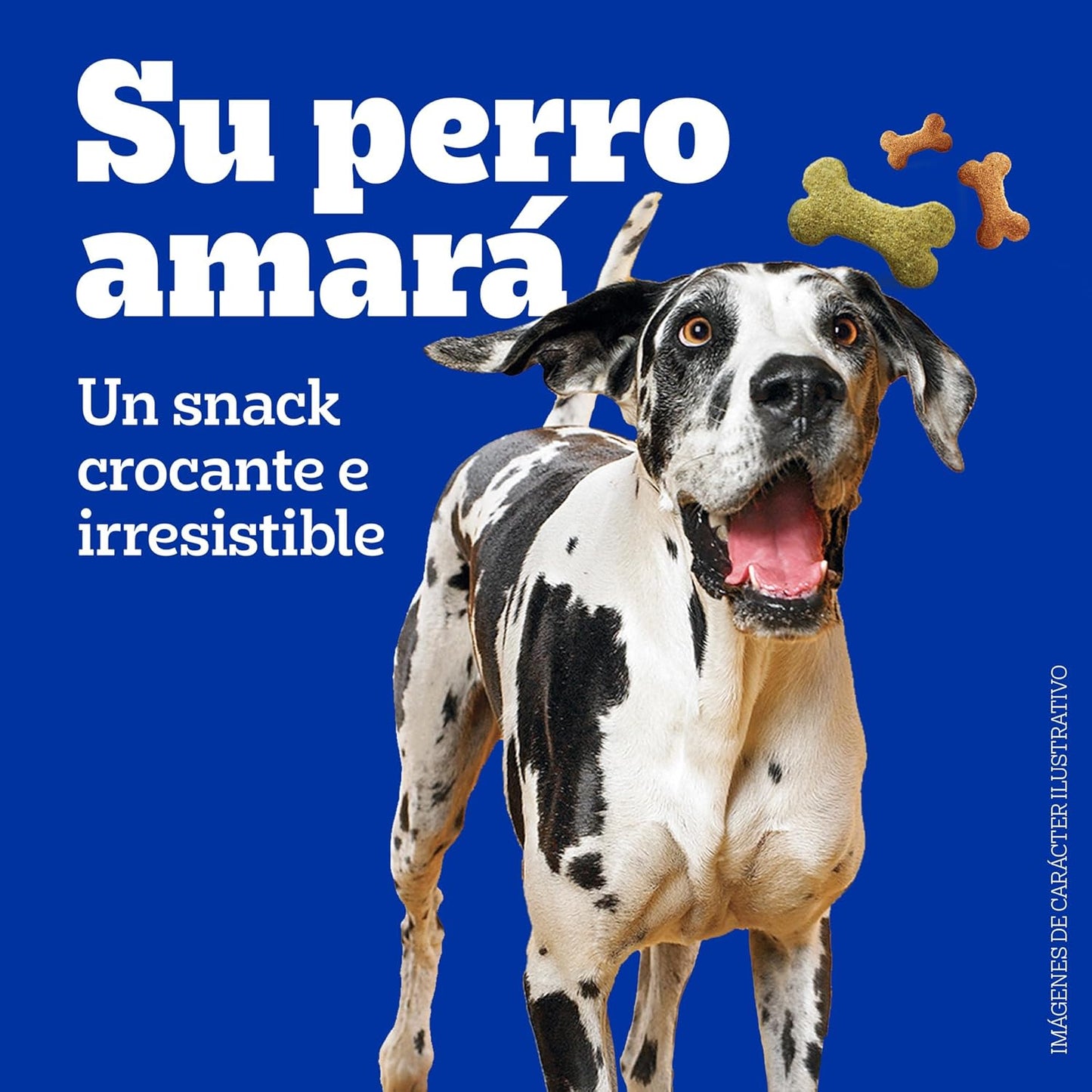 Pedigree - Snack para Perros Adultos Biscrock, Omega 3, Adicionado con Calcio, Sin Colorantes, Ideal para Entrenamiento, 225g
