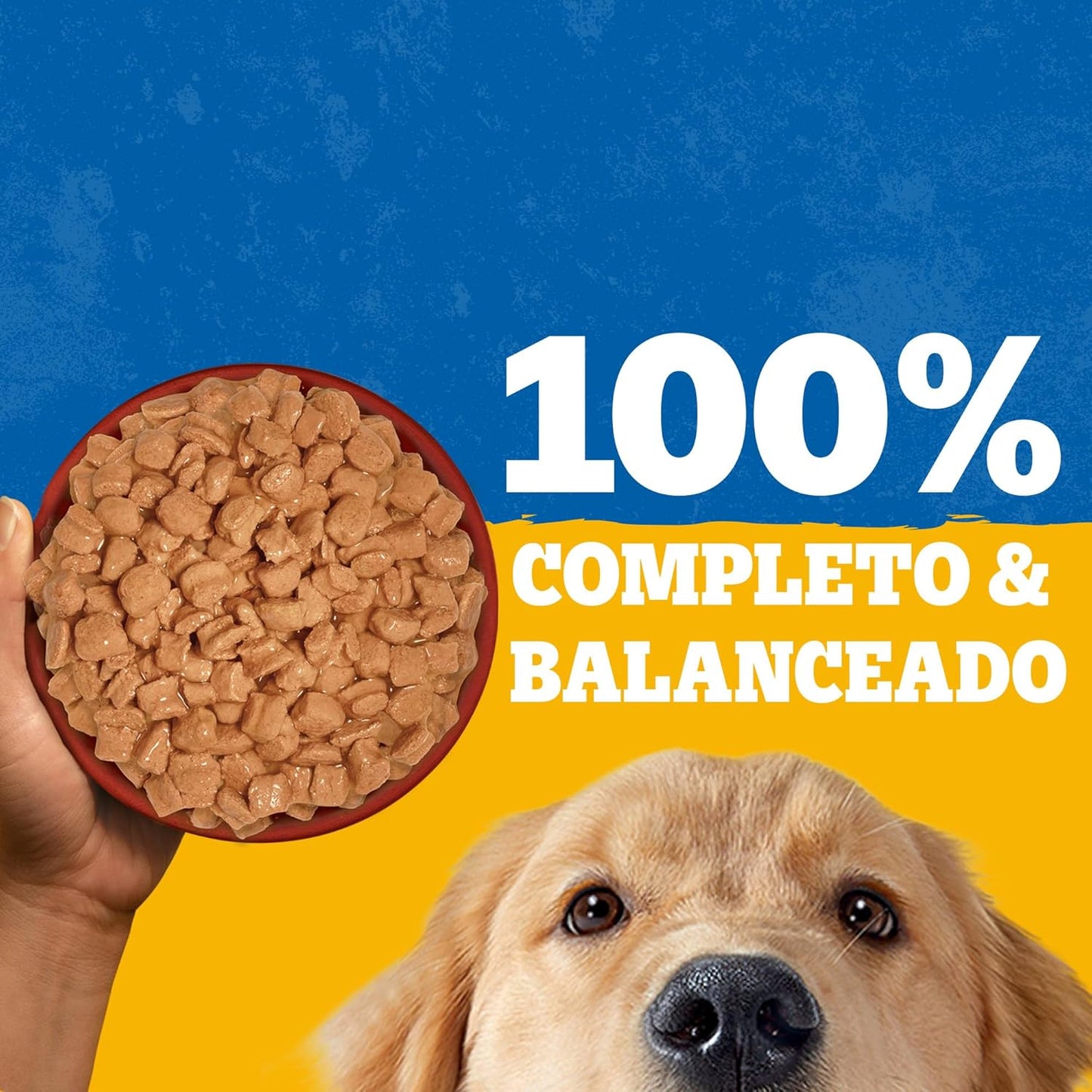 Pedigree - Alimento Húmedo para Perro Adulto, Pollo En Filetes, 24 Sobres, con Proteína, Antioxidantes y Vitamina E