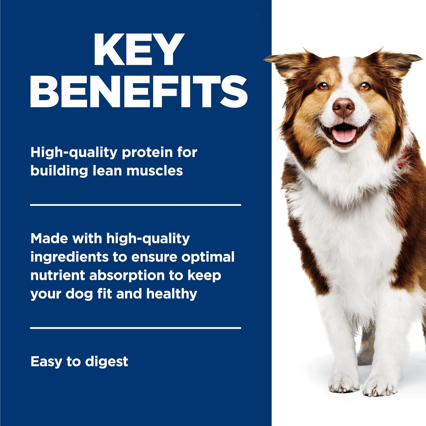 Hill's Science Diet Adult 7+, Alimento Húmedo para Perros Senior, 12 Pack C/U 369 G