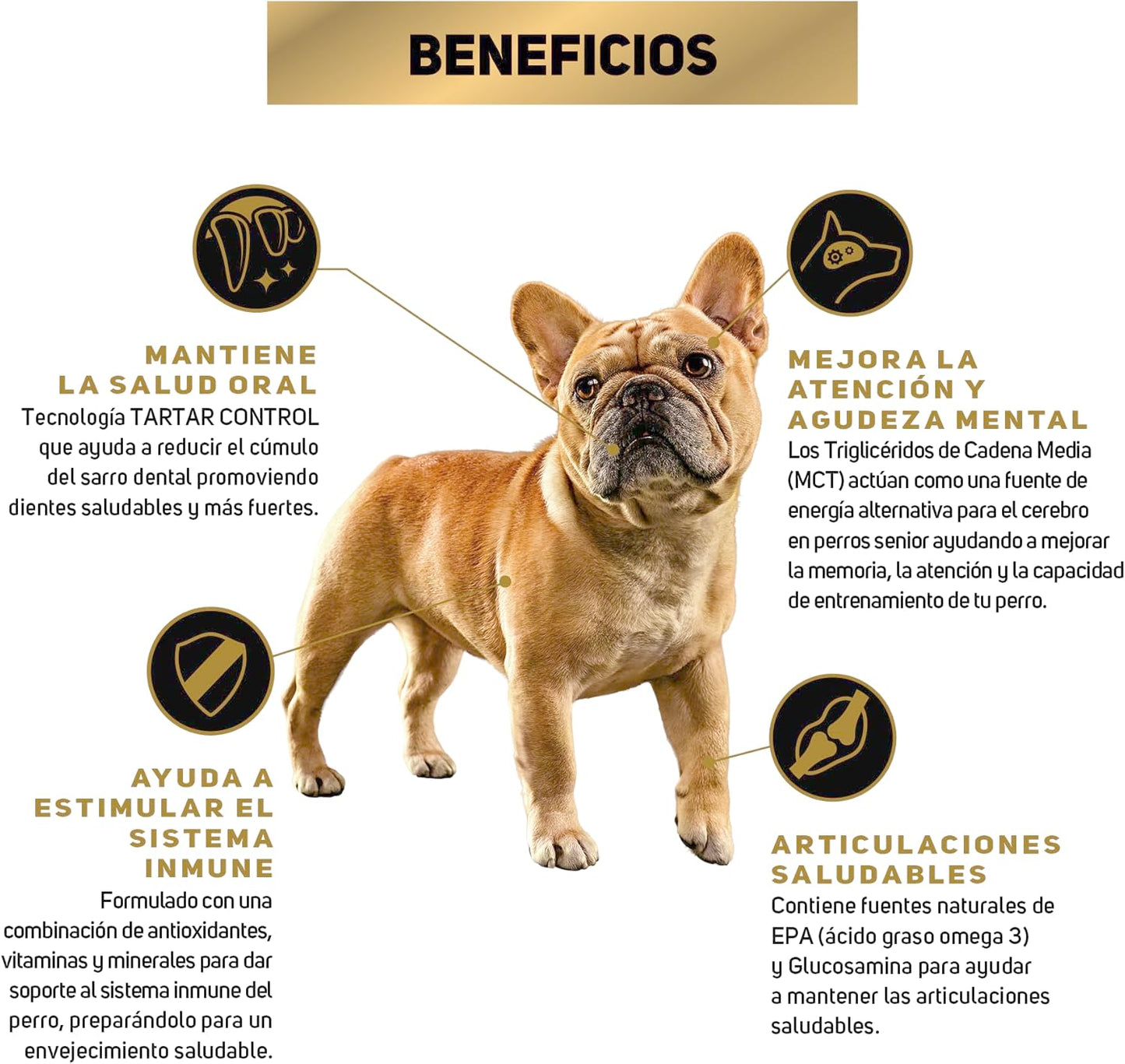 Purina Pro Plan Active Mind Adulto Razas Minis y Pequeñas Sabor Pollo 9.5 Kg