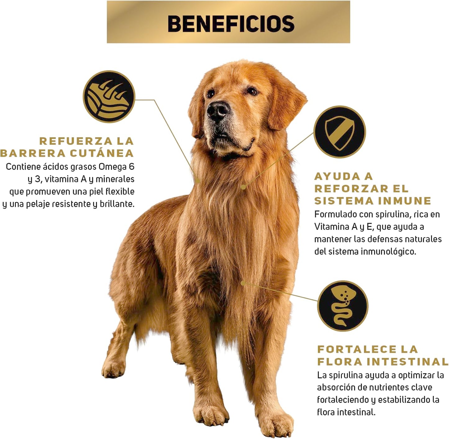 Purina Pro Plan Adulto Raza Mediana Sabor Pollo 9.5Kg