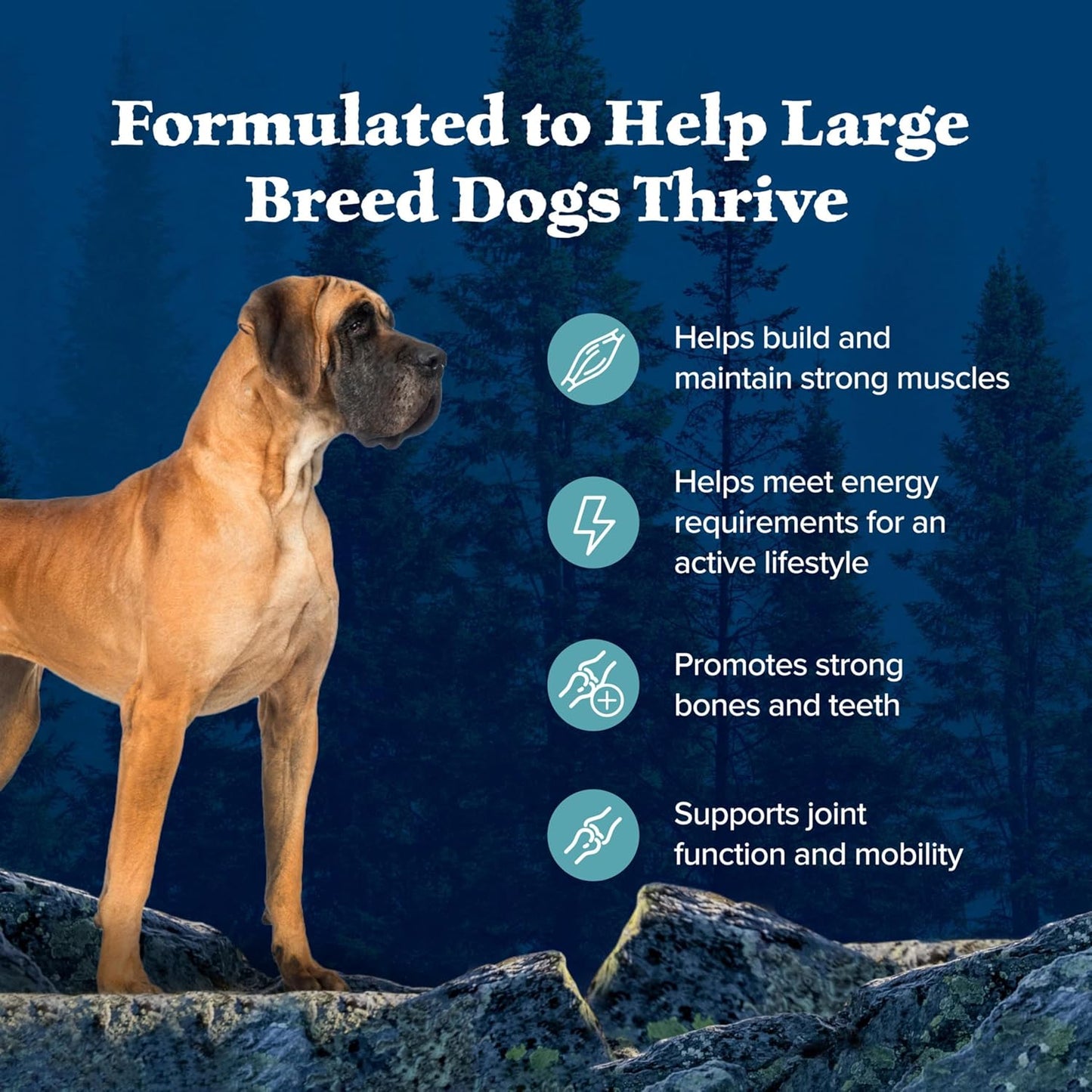 Blue Buffalo Wilderness High Protein Natural Large Breed Adult Dry Dog Food Plus Wholesome Grains, Salmon 28 LB Bag