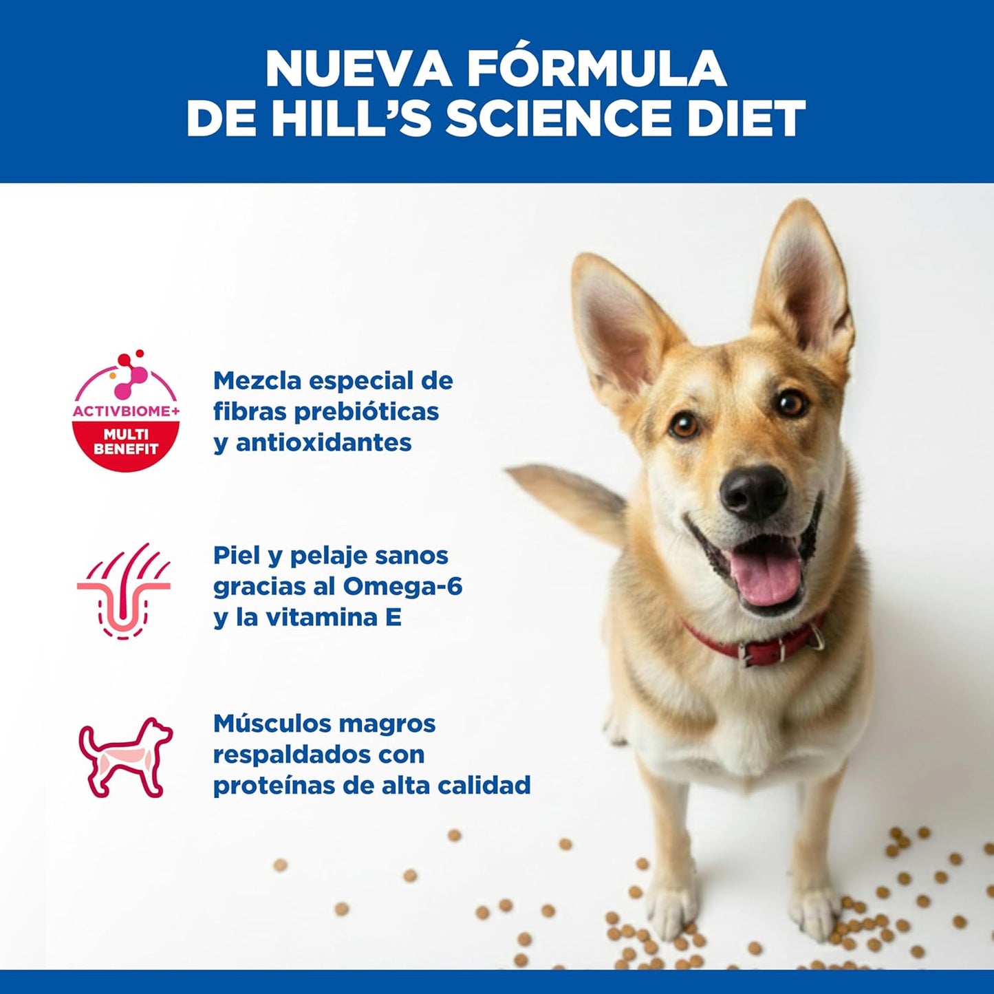 Hill's Science Diet, Croquetas para Perro Adulto Sabor Pollo 20.4 kg, Ayuda a Construir Las Bases para la Salud a Largo Plazo, Piel y Pelaje Sanos