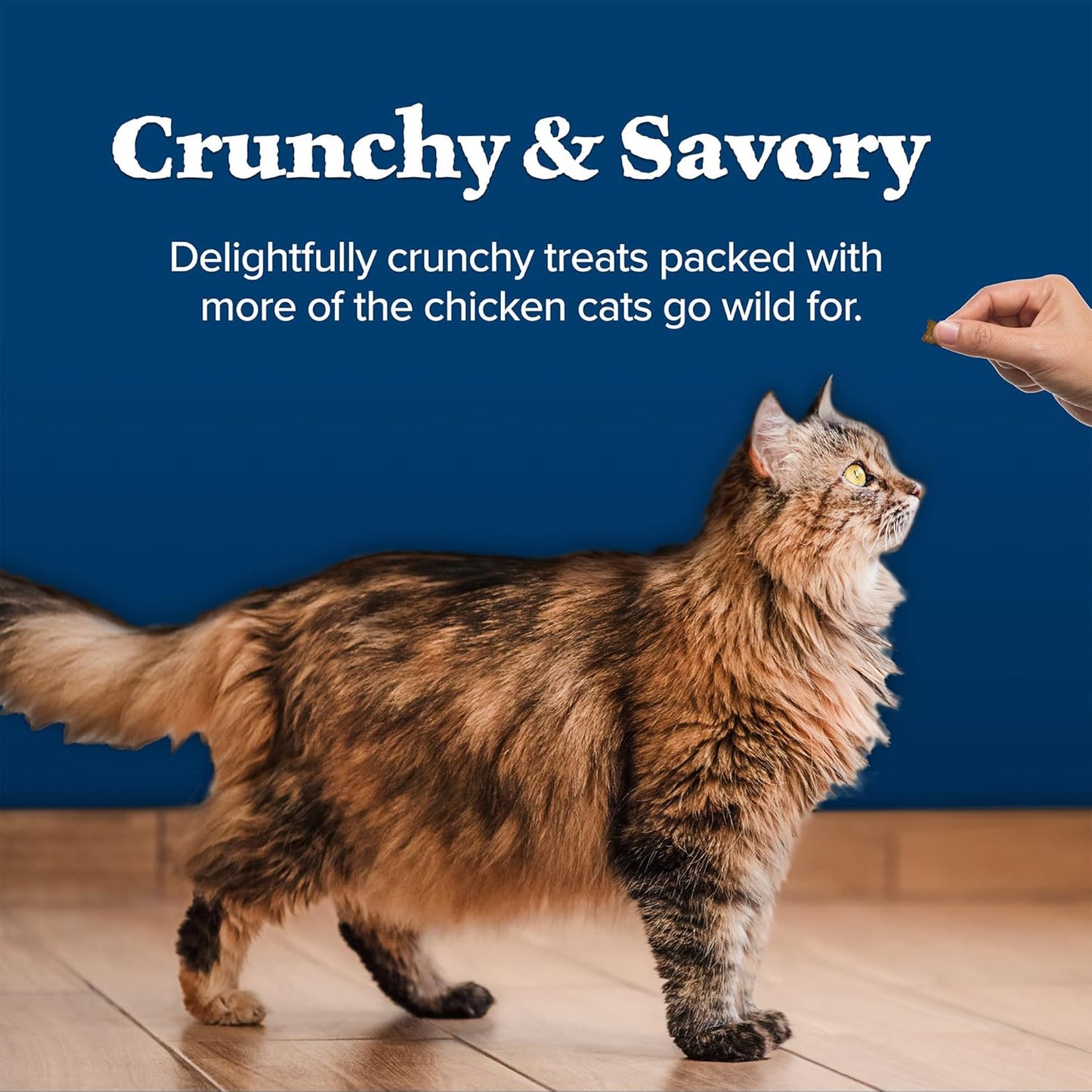 Blue Buffalo Wilderness Chicken Formula Crunchy Grain-Free Cat Treats, 12-oz