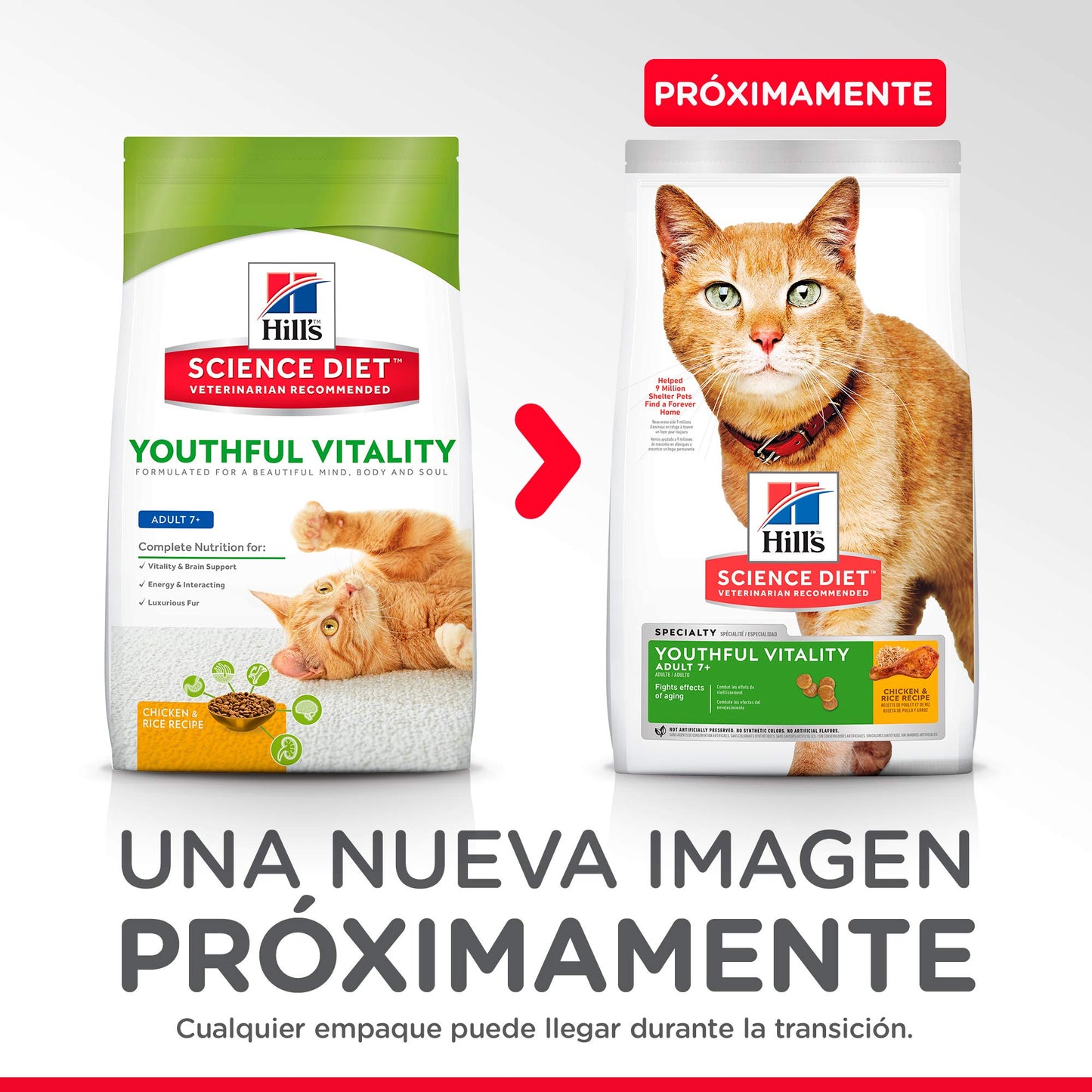 Hill's Science Diet Senior Vitality 7+, Croquetas para Gato Senior, Sabor Pollo 1.4Kg