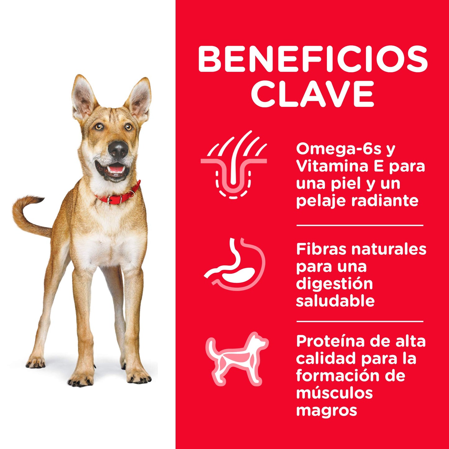 Hill's Science Diet, Croquetas para Perro Adulto Sabor Cordero 15Kg