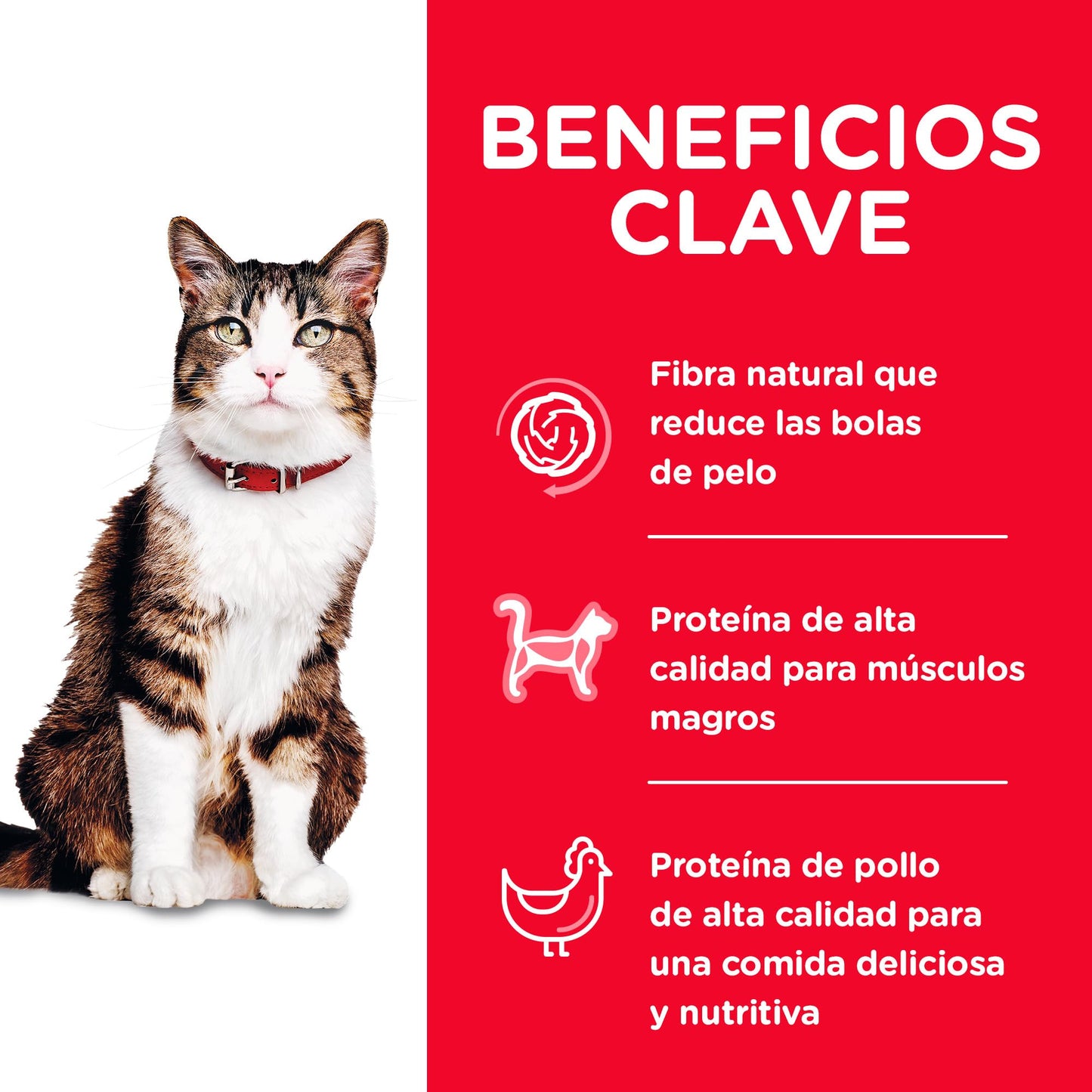 Hill's Science Diet Hairball Control, Croquetas para Gato Adulto, Control Bolas De Pelo Sabor Pollo 1.6Kg