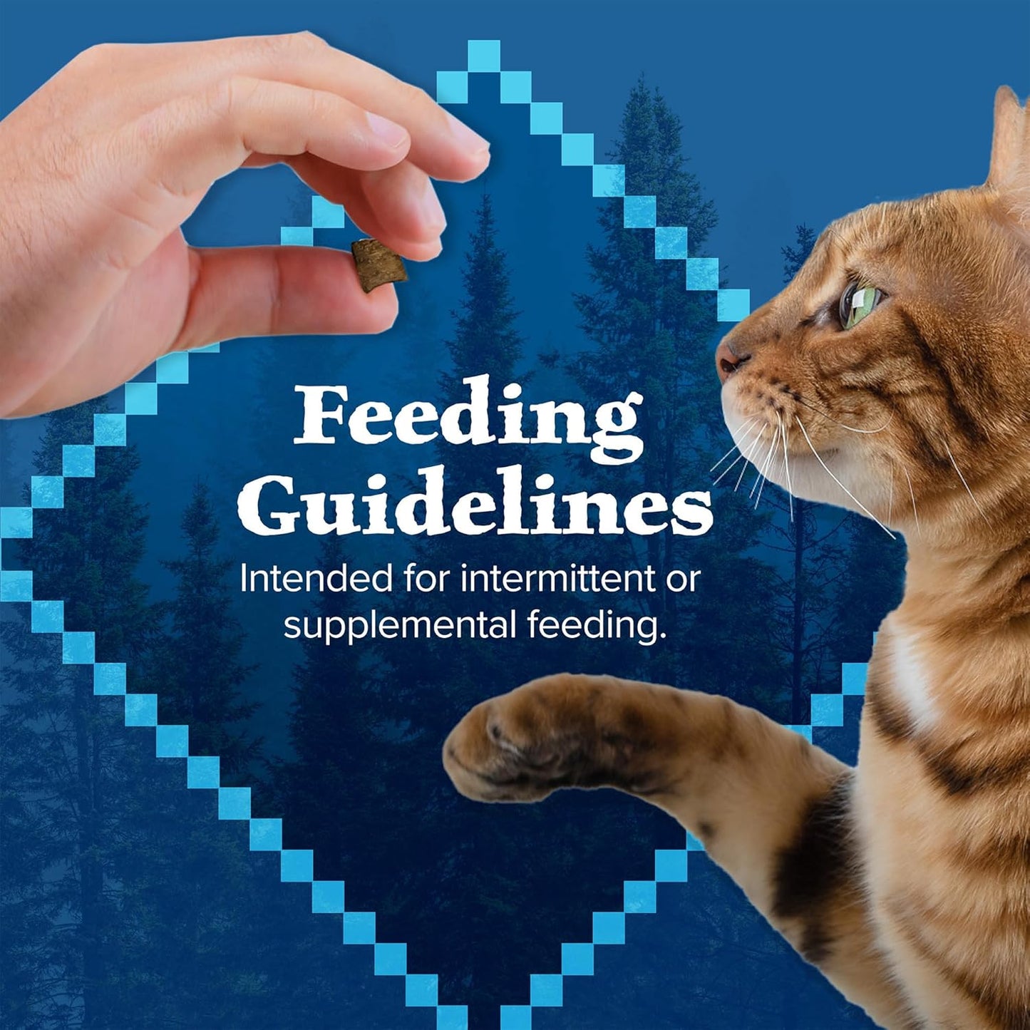 Blue Buffalo Wilderness Chicken Formula Crunchy Grain-Free Cat Treats, 12-oz